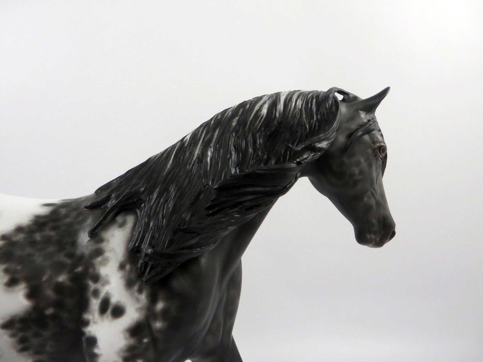 Apogee-OOAK Black Appaloosa Pony Painted by Sheryl Leisure 3/5/21