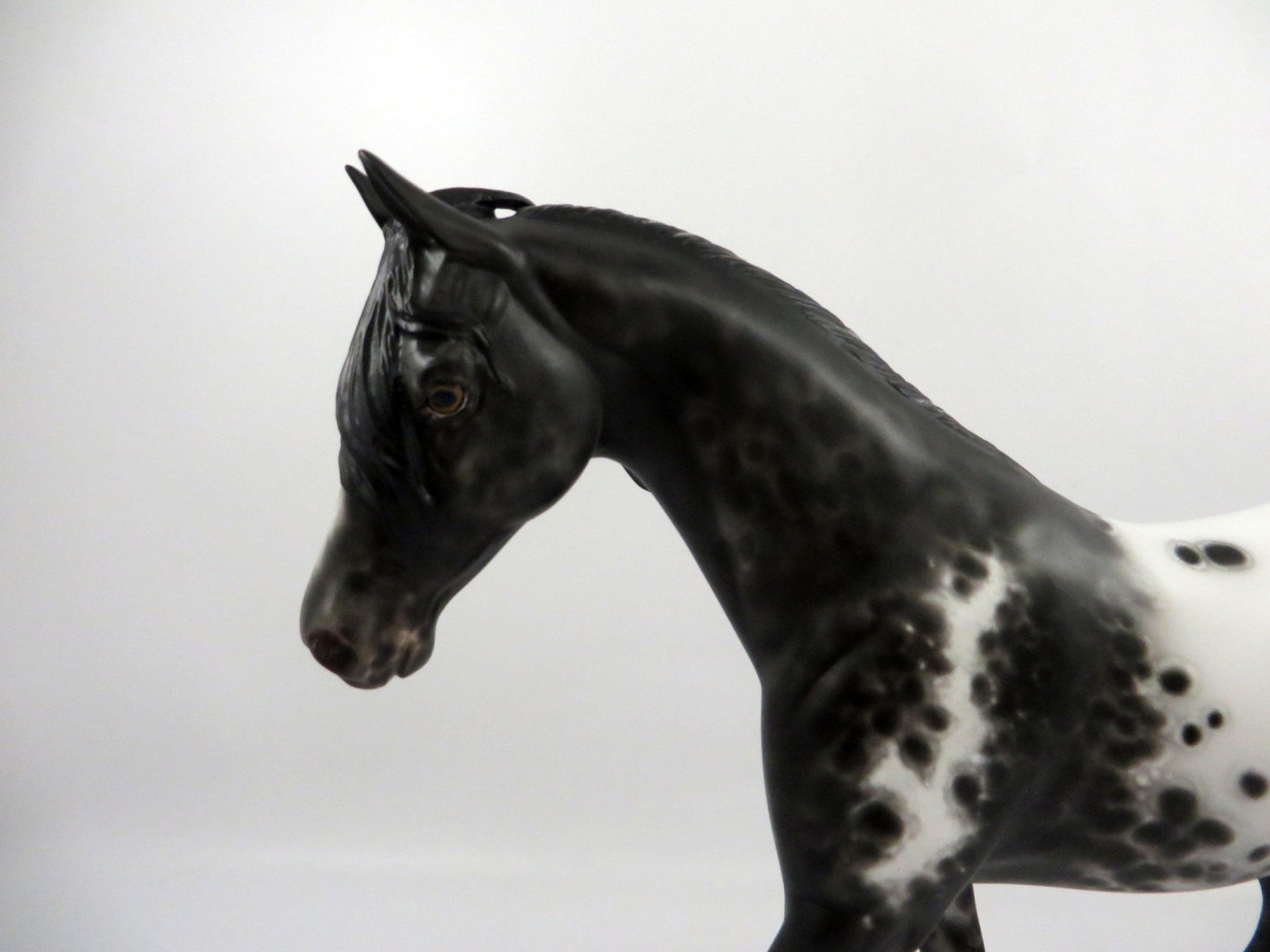 Apogee-OOAK Black Appaloosa Pony Painted by Sheryl Leisure 3/5/21