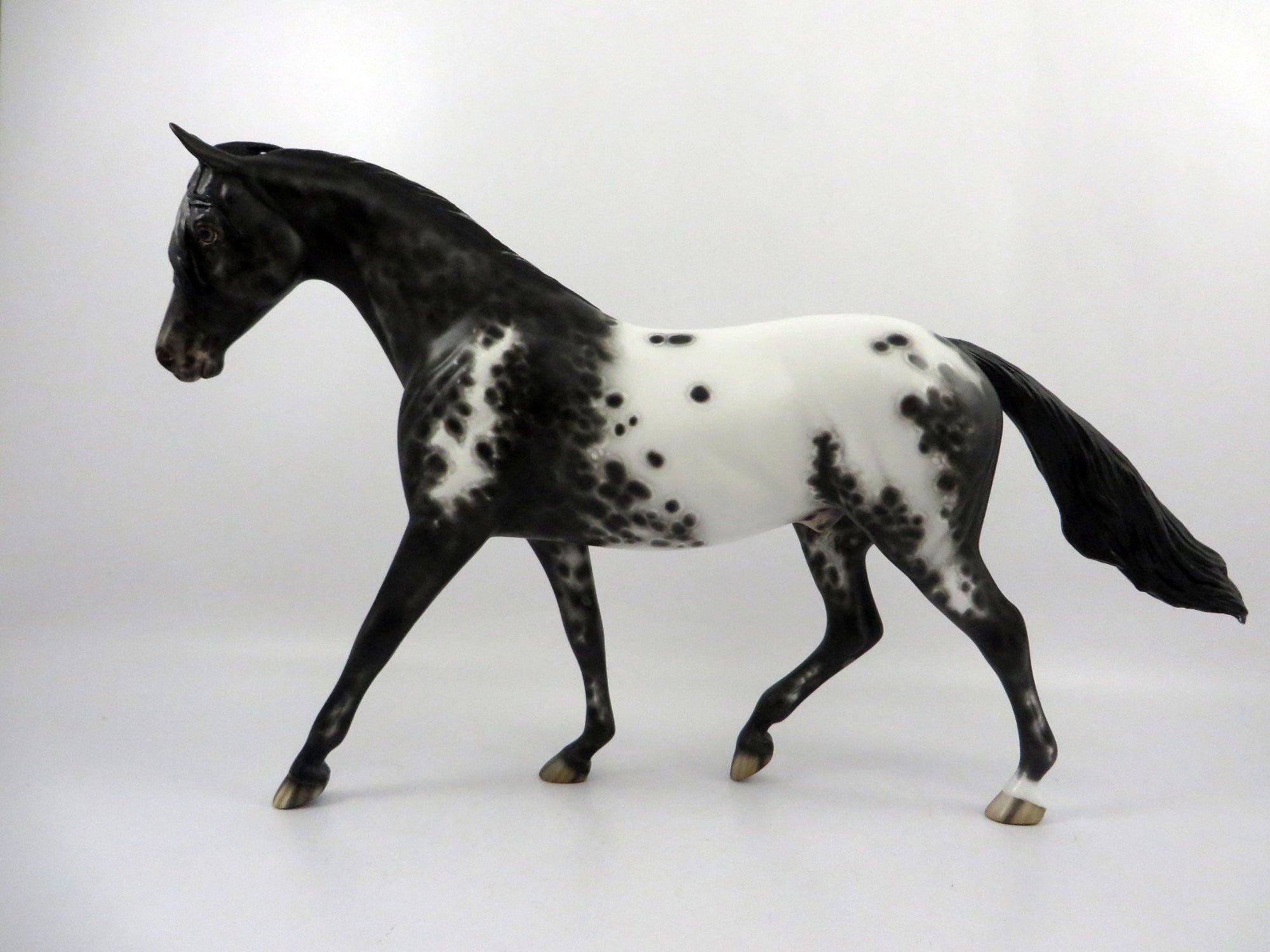 Apogee-OOAK Black Appaloosa Pony Painted by Sheryl Leisure 3/5/21