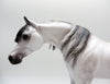Ararat-OOAK Light Dapple Grey Arabian Painted By Caroline Boydston 6/28/21