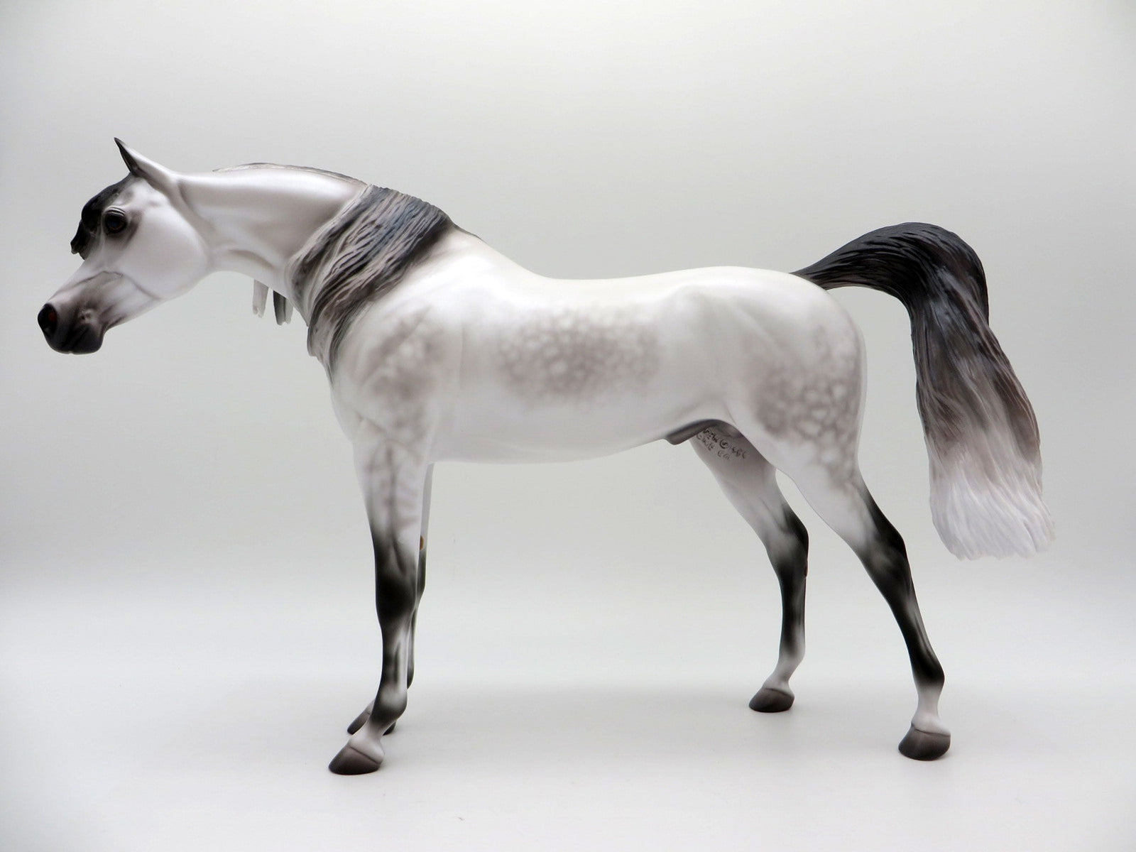 Ararat-OOAK Light Dapple Grey Arabian Painted By Caroline Boydston 6/28/21