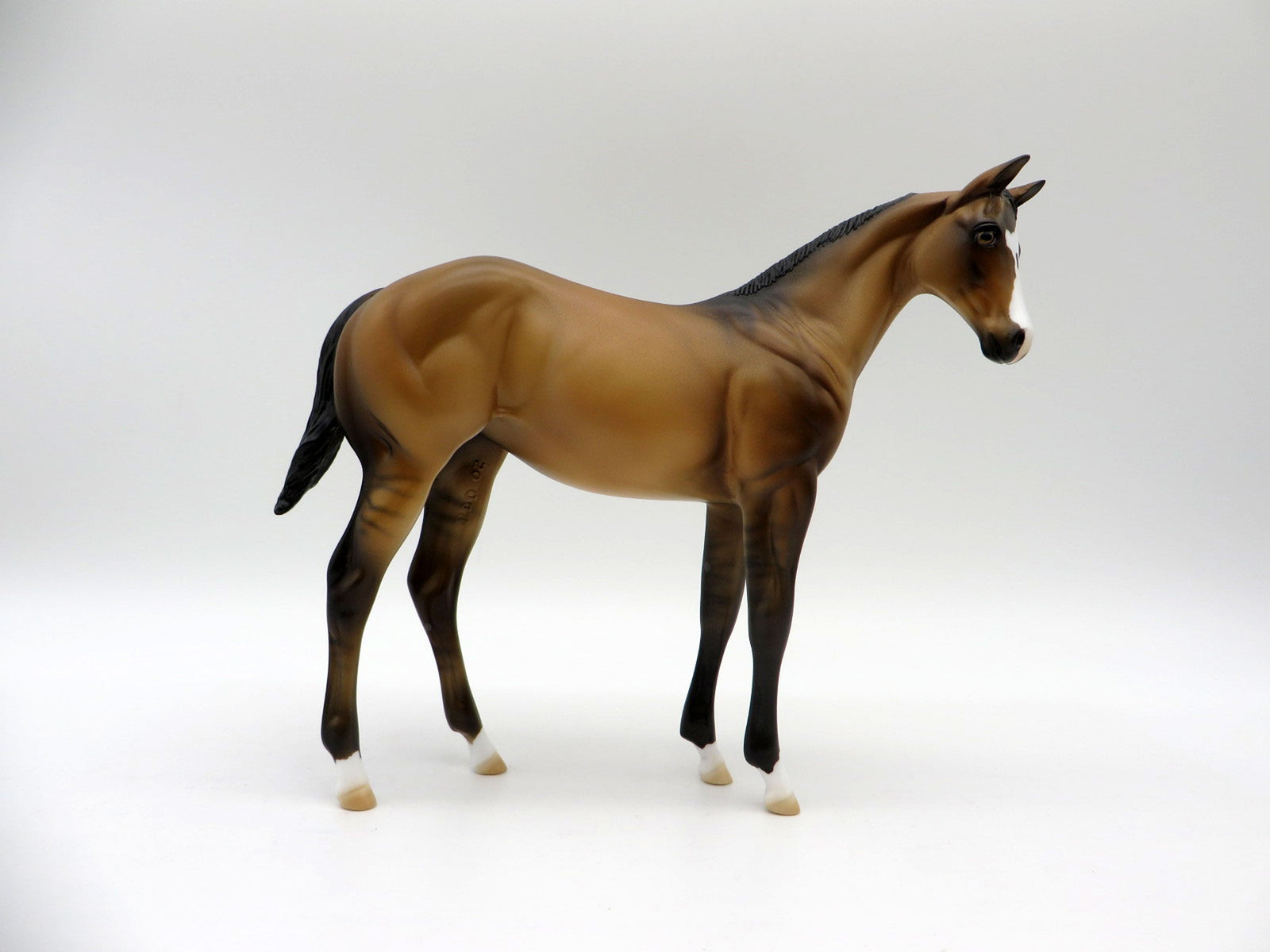 Arceus-OOAK Buckskin Weanling Painted By Ellen Robbins 5/14/21