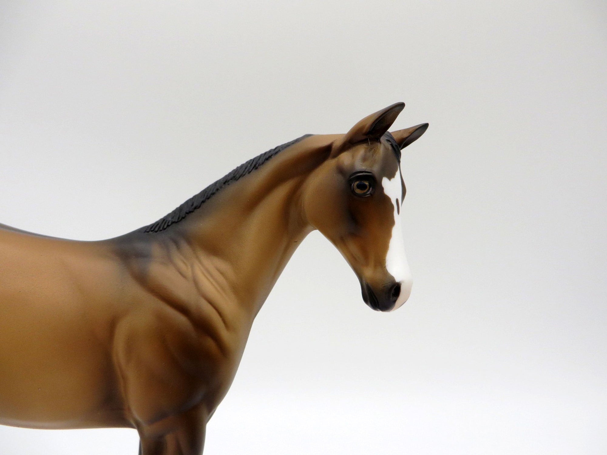 Arceus-OOAK Buckskin Weanling Painted By Ellen Robbins 5/14/21