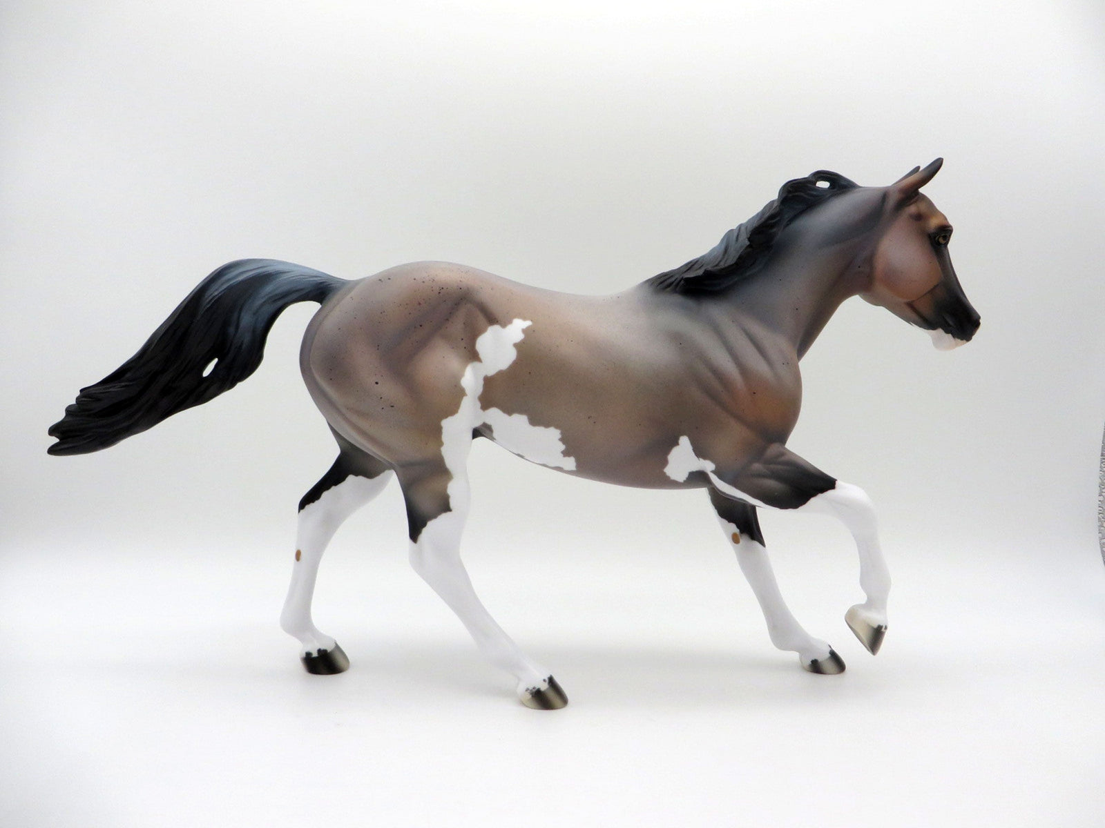 Arcus-OOAK Roan Foundation Quarter Horse  SHCF 2021