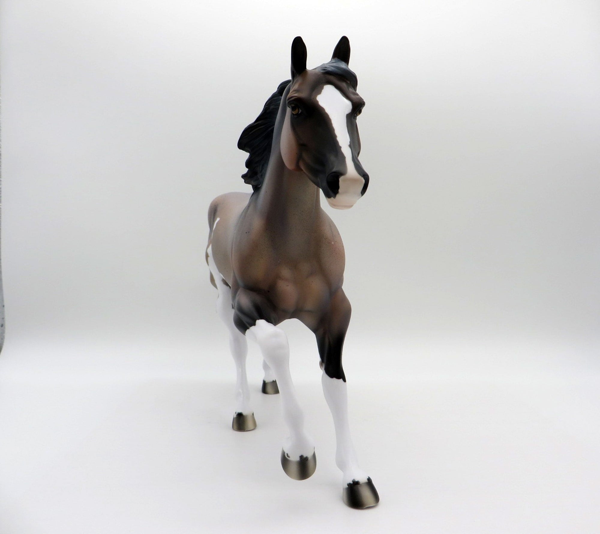 Arcus-OOAK Roan Foundation Quarter Horse  SHCF 2021