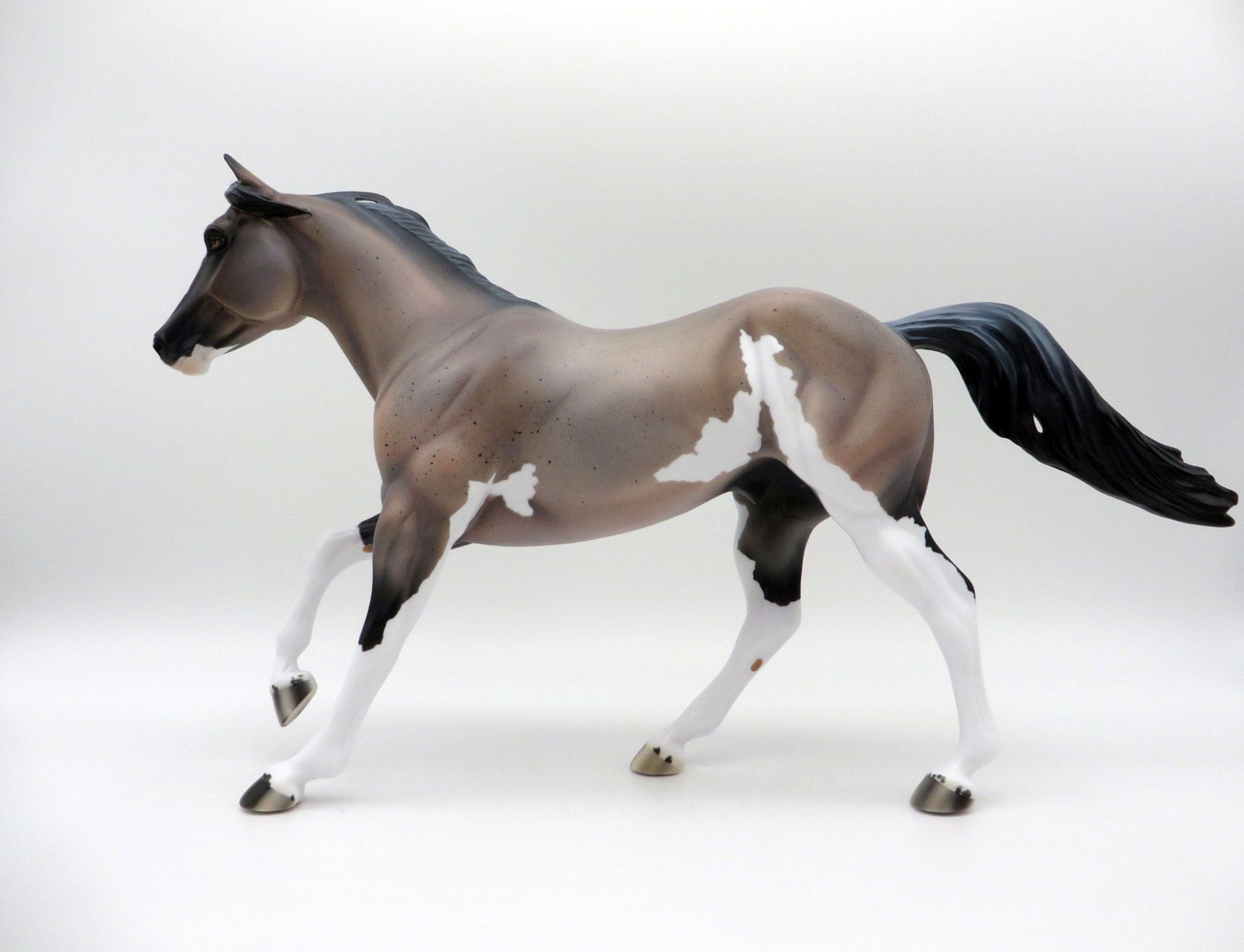 Arcus-OOAK Roan Foundation Quarter Horse  SHCF 2021