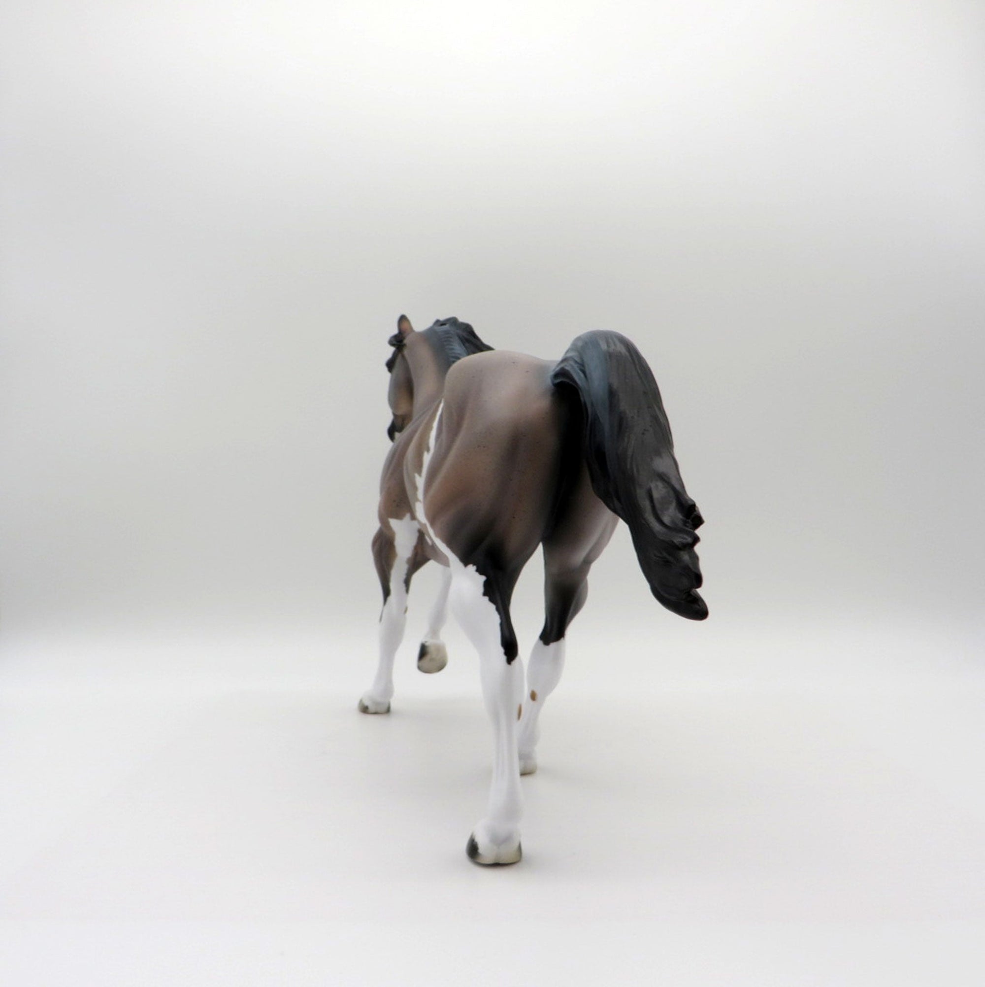 Arcus-OOAK Roan Foundation Quarter Horse  SHCF 2021