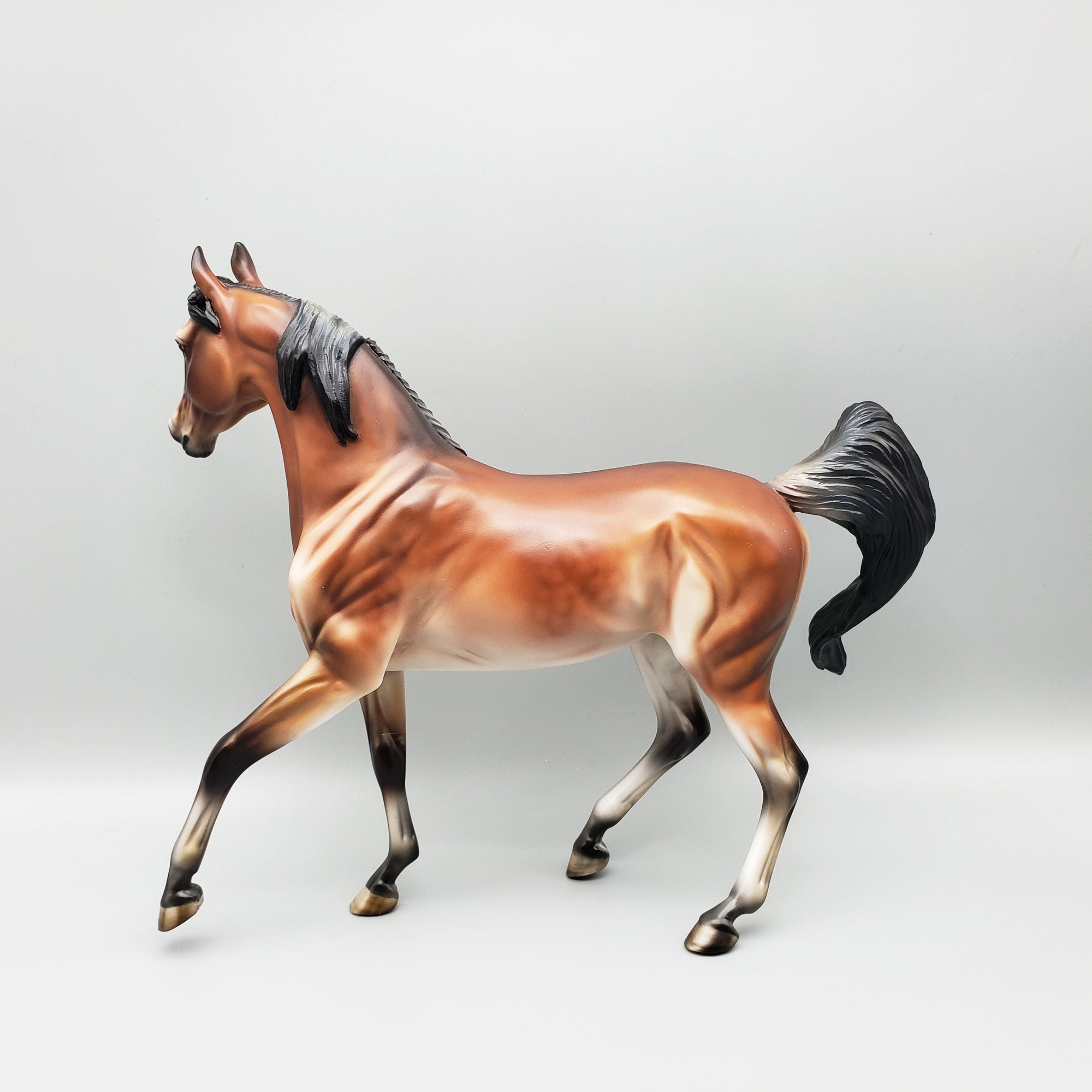 SAMPLE of Areeba Mealy Bay Arab Mare By Julie Keim EQ23