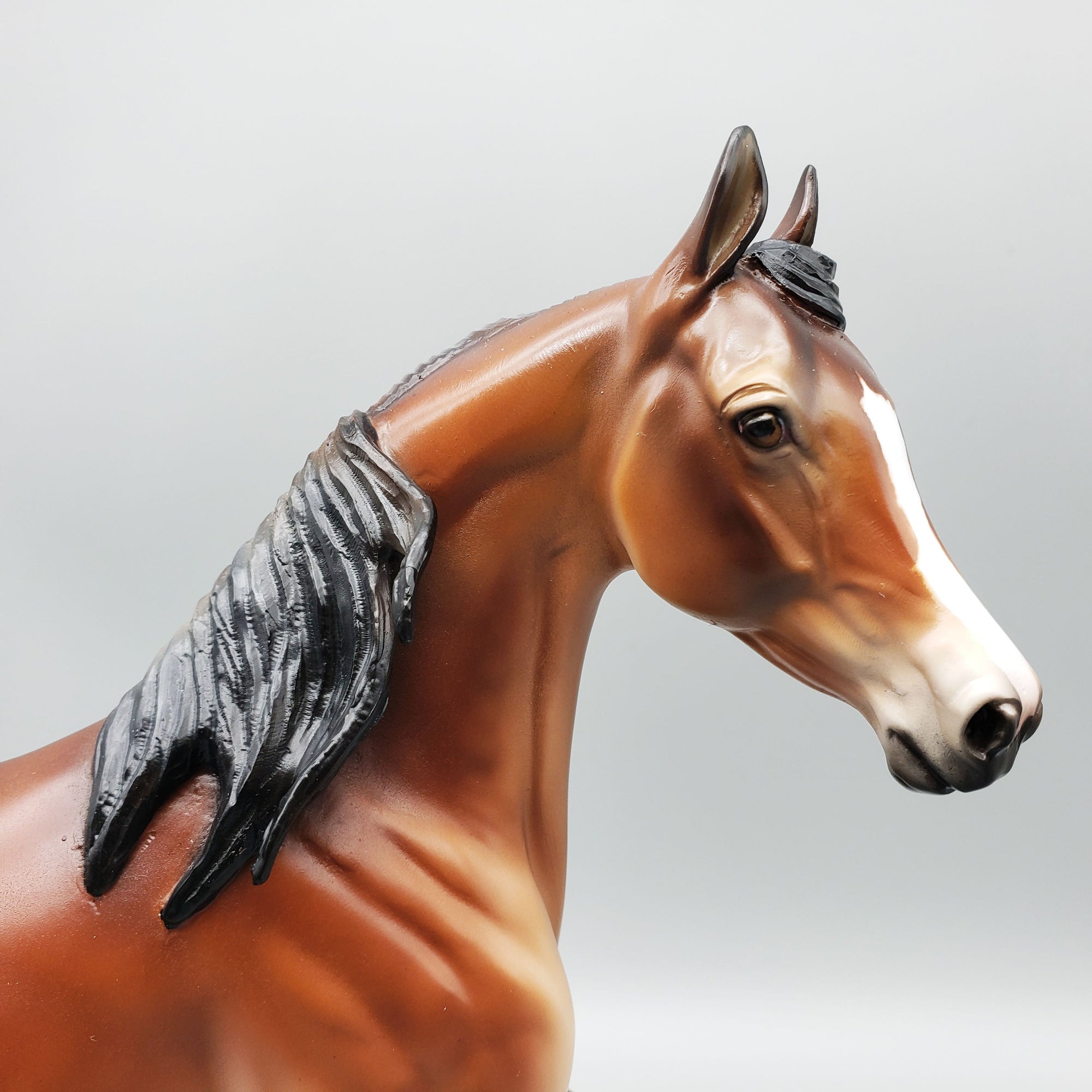 SAMPLE of Areeba Mealy Bay Arab Mare By Julie Keim EQ23