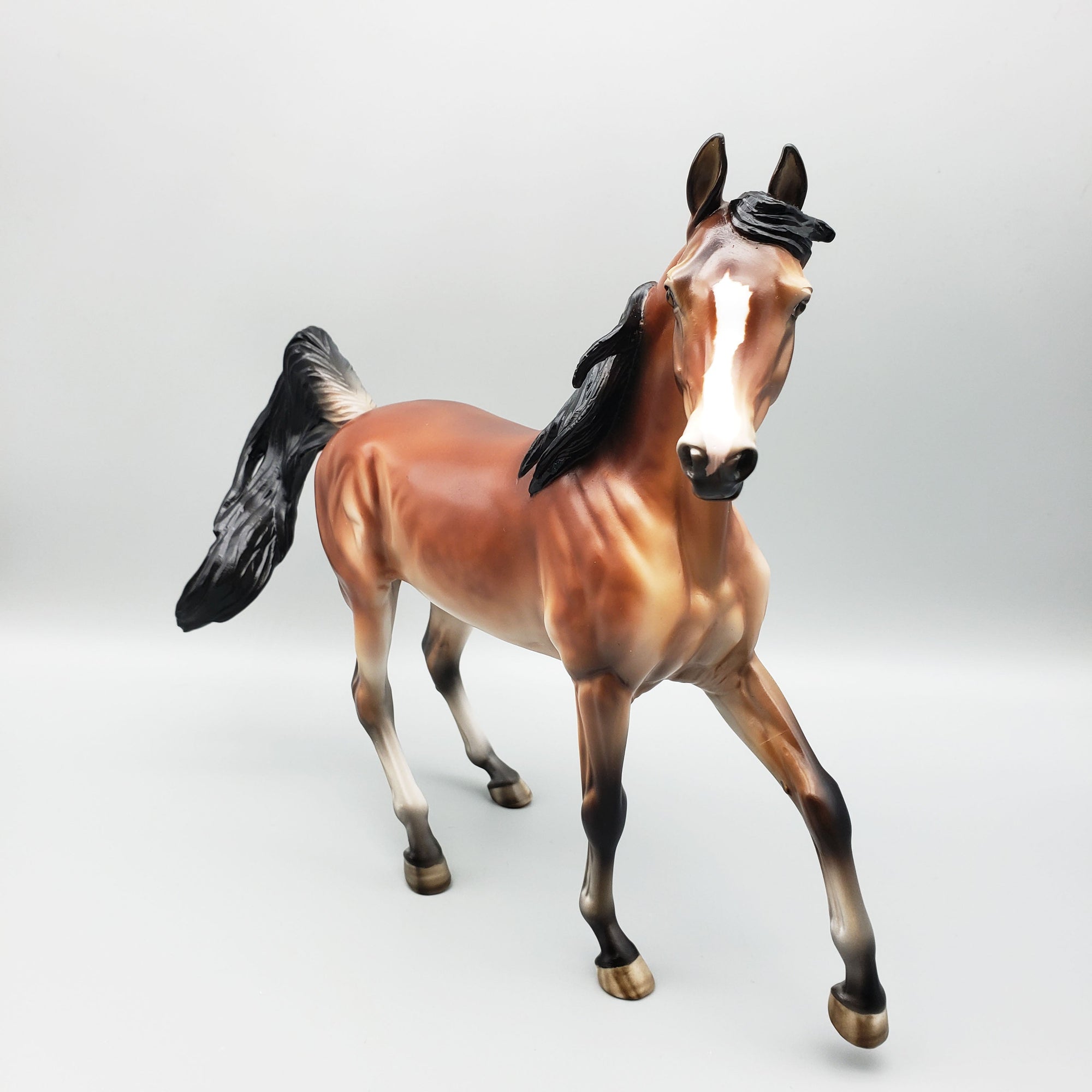 SAMPLE of Areeba Mealy Bay Arab Mare By Julie Keim EQ23