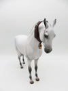 Argentine - OOAK - Dappled Grey Andalusian Mare by Jess Hamill - Best Offers 2/12/23 P&amp;C 23