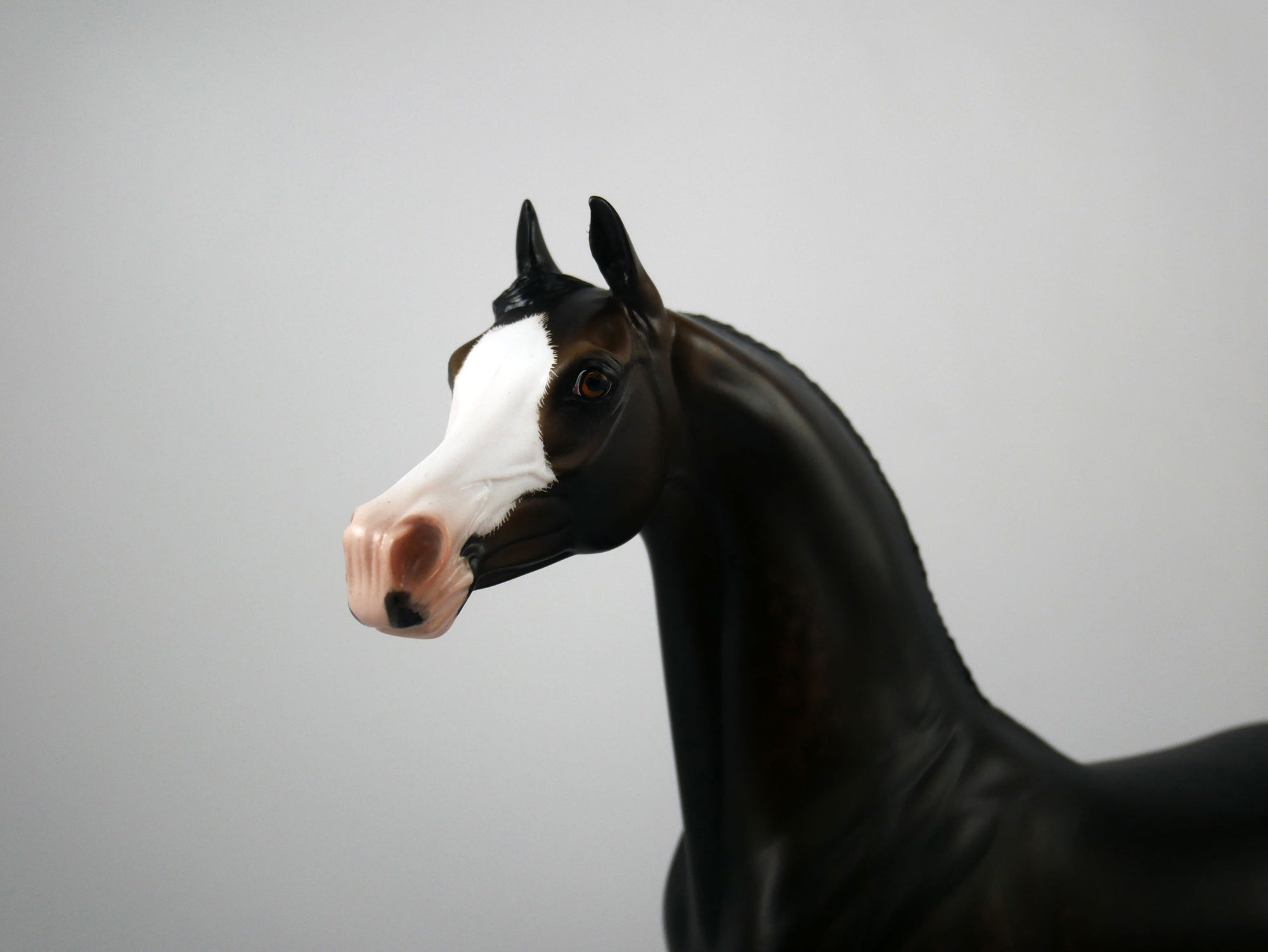 Arlo-OOAK Dapple Seal Bay Arabian Painted By Sheryl Leisure 1/8/21