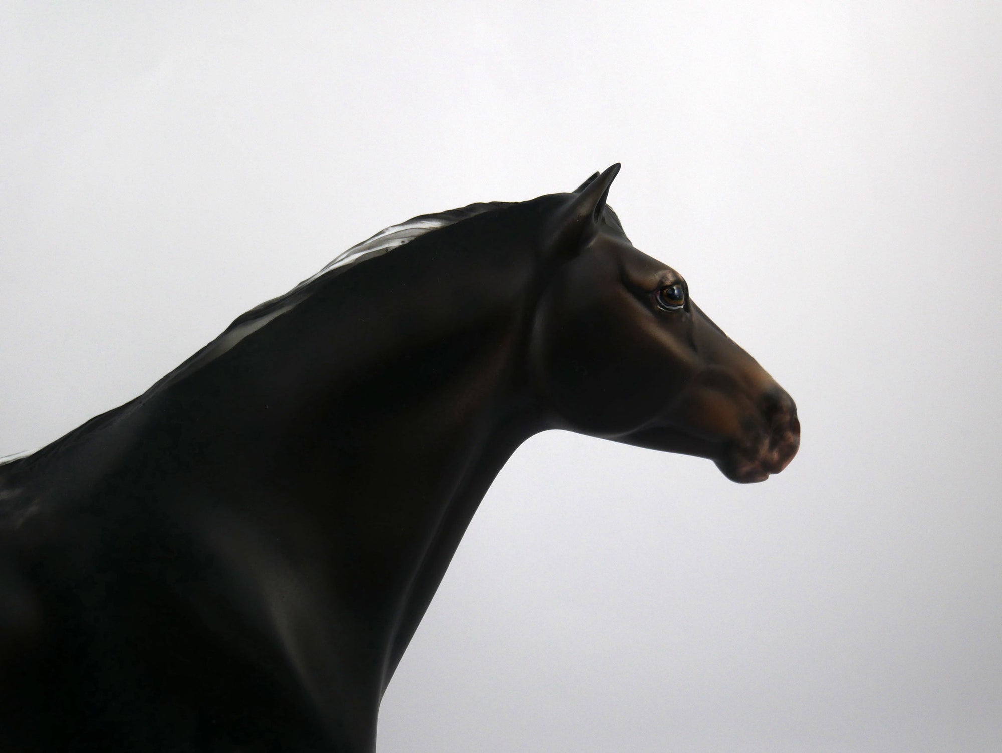 Arnold-OOAK Appaloosa Mustang Painted by Sheryl Leisure 1/20