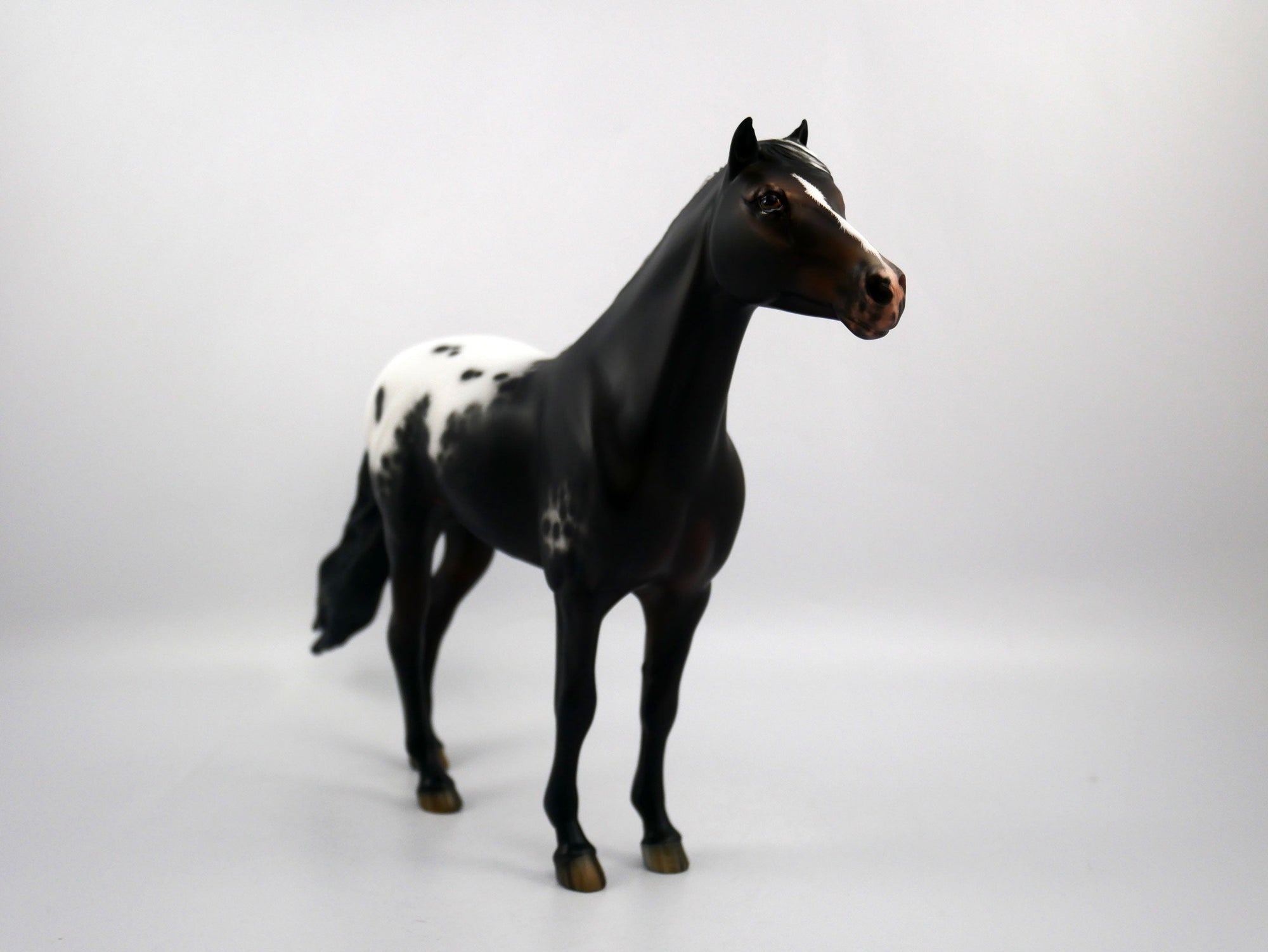 Arnold-OOAK Appaloosa Mustang Painted by Sheryl Leisure 1/20