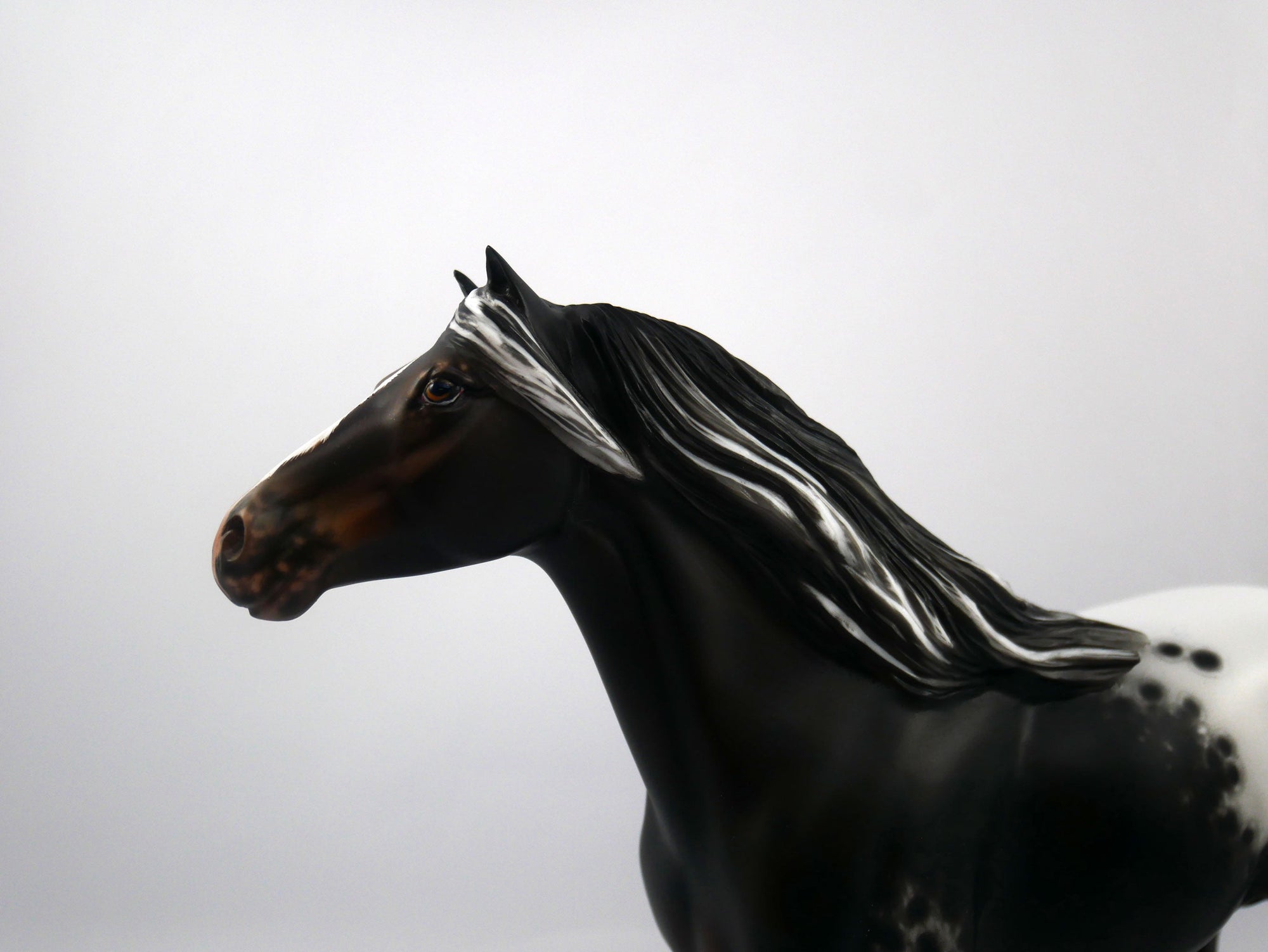 Arnold-OOAK Appaloosa Mustang Painted by Sheryl Leisure 1/20