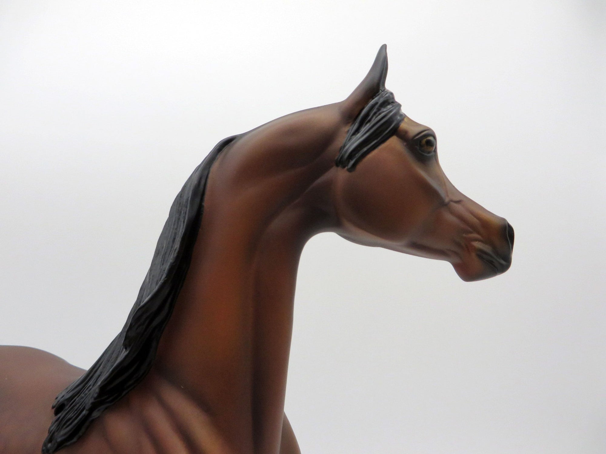 Art Nouveau-LE-9 Dapple Bay Arabian Painted By Audrey Dixon EQ 2021