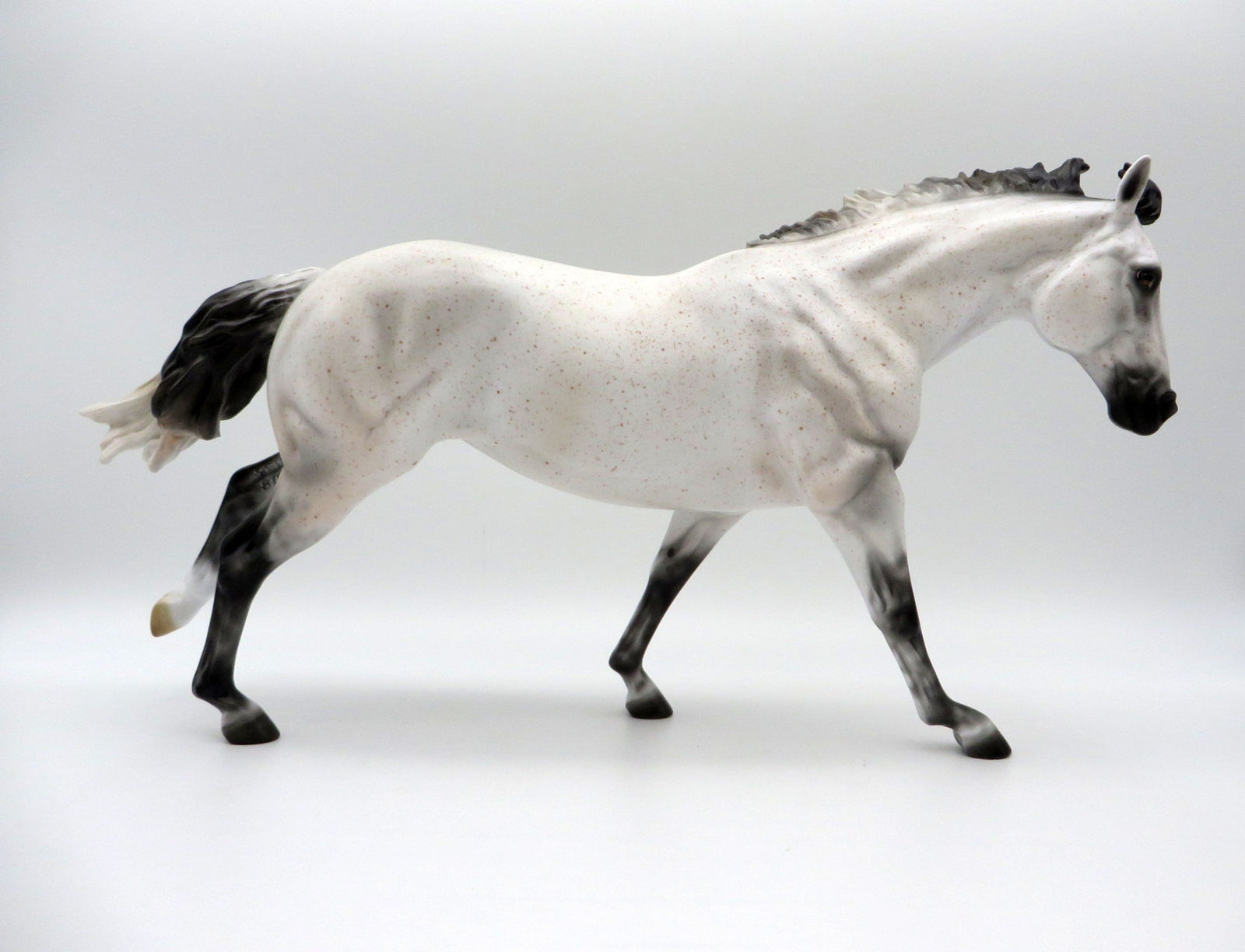Artemisa-OOAK Fleabit Running Stock Horse SHCF 21