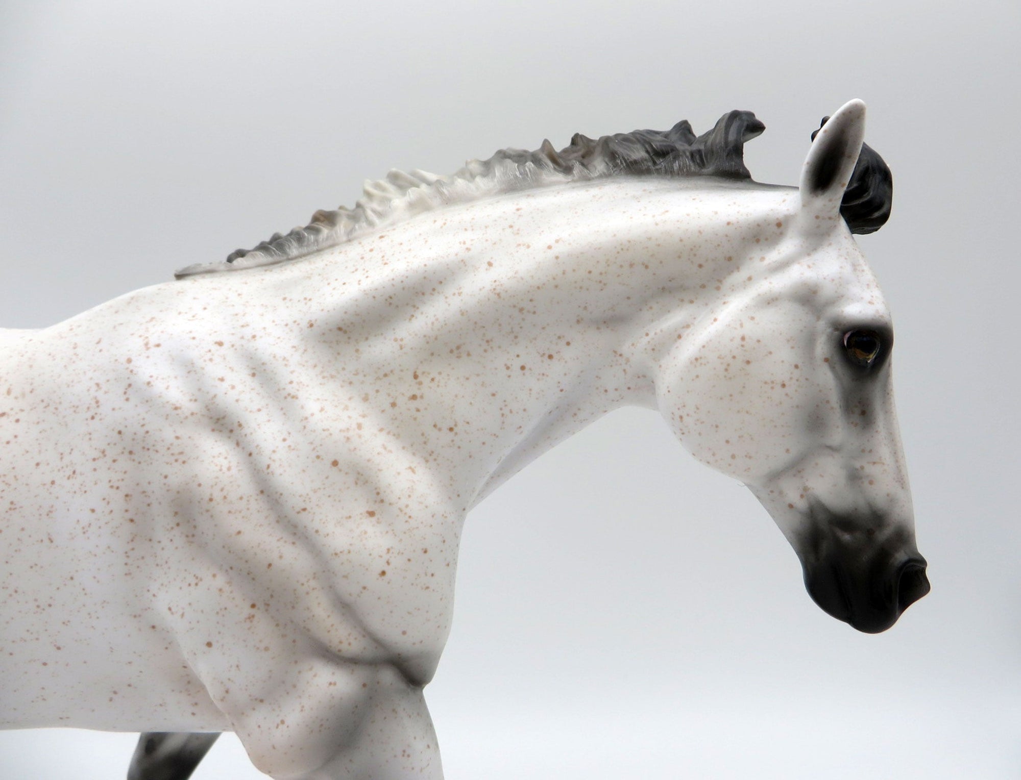 Artemisa-OOAK Fleabit Running Stock Horse SHCF 21