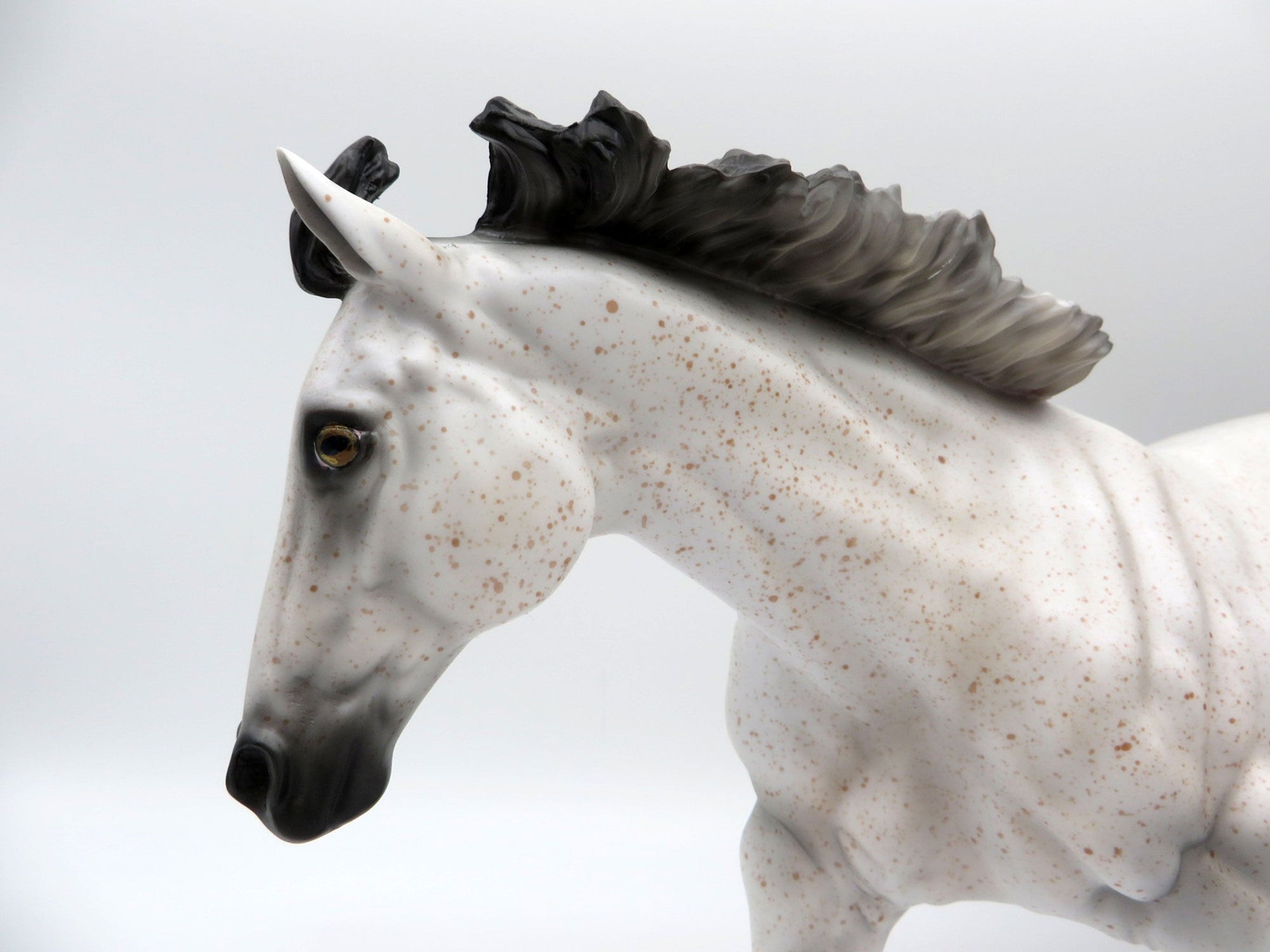 Artemisa-OOAK Fleabit Running Stock Horse SHCF 21