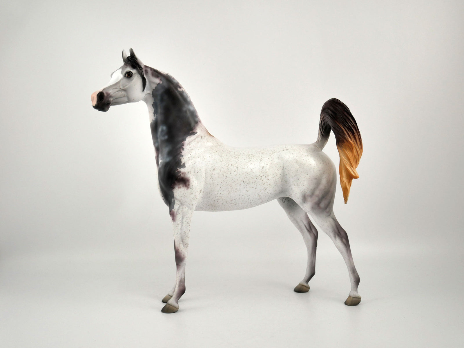 Ashton-OOAK Bloody Shoulder Arabian by Dawn Quick 11/18/20