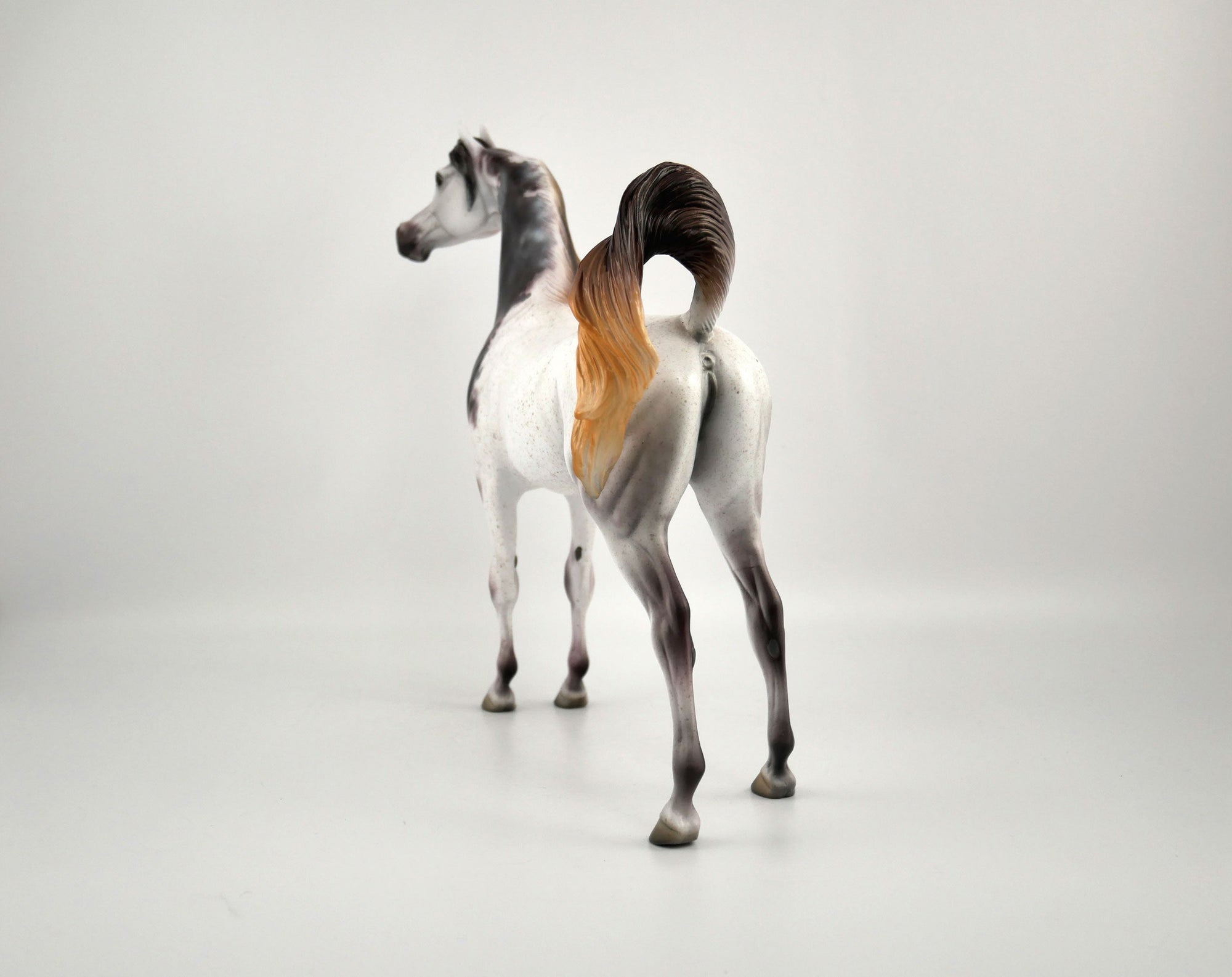 Ashton-OOAK Bloody Shoulder Arabian by Dawn Quick 11/18/20