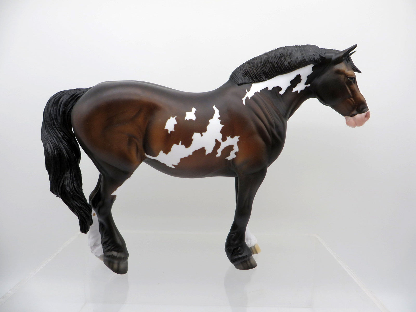 Astar-OOAK Bay Pint Heavy Draft Mare  SHCF 2021