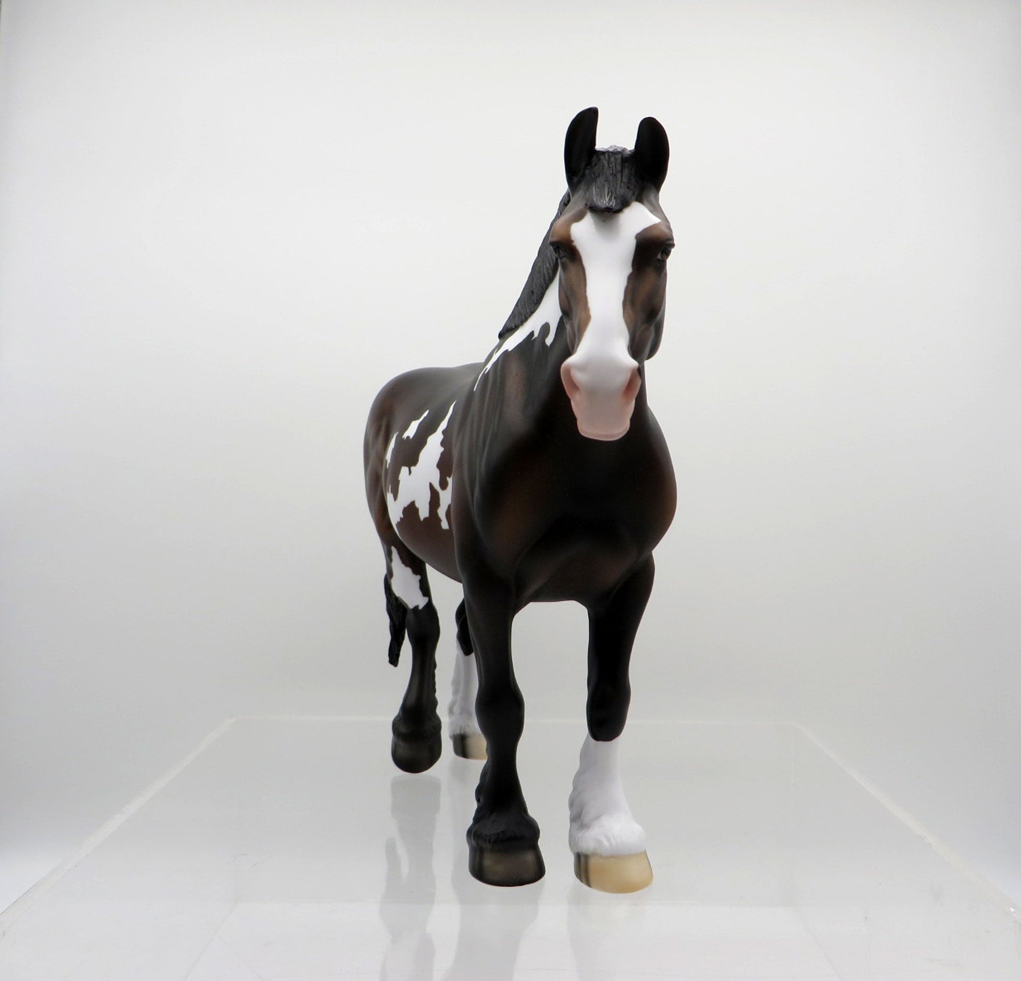 Astar-OOAK Bay Pint Heavy Draft Mare  SHCF 2021