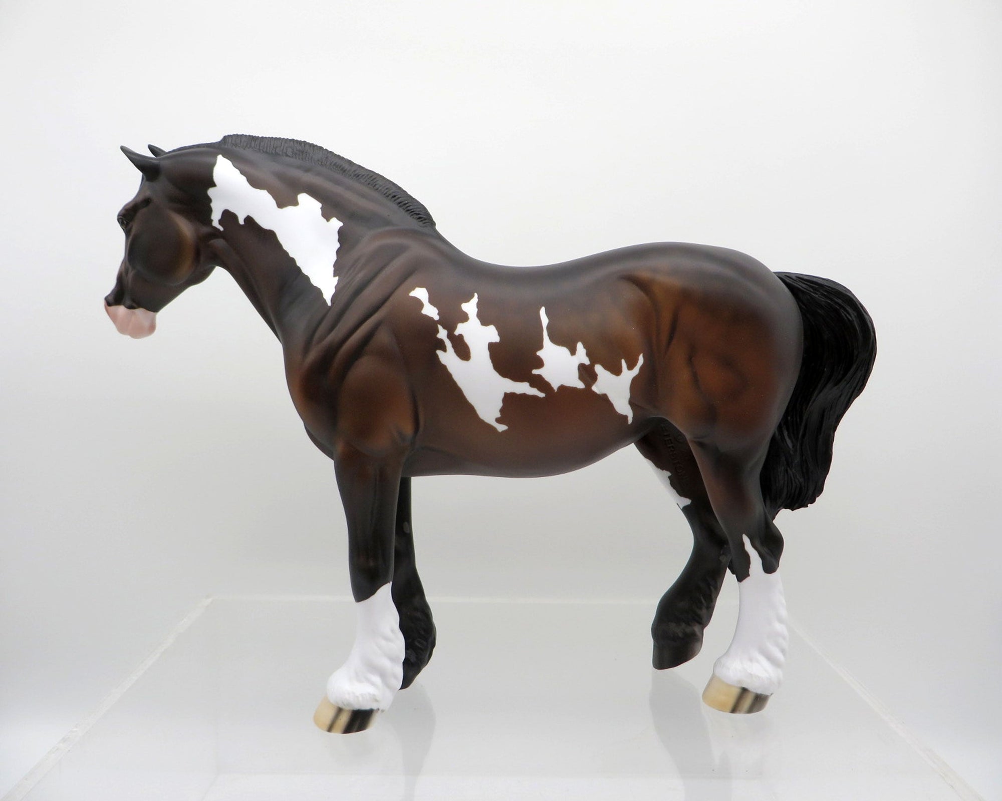 Astar-OOAK Bay Pint Heavy Draft Mare  SHCF 2021