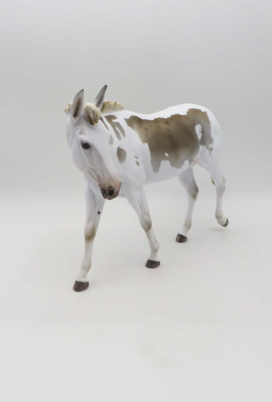 Astro OOAK Custom Head Turned Grulla Spotted Mule By Myla Pearce Best Offers 5/15/23