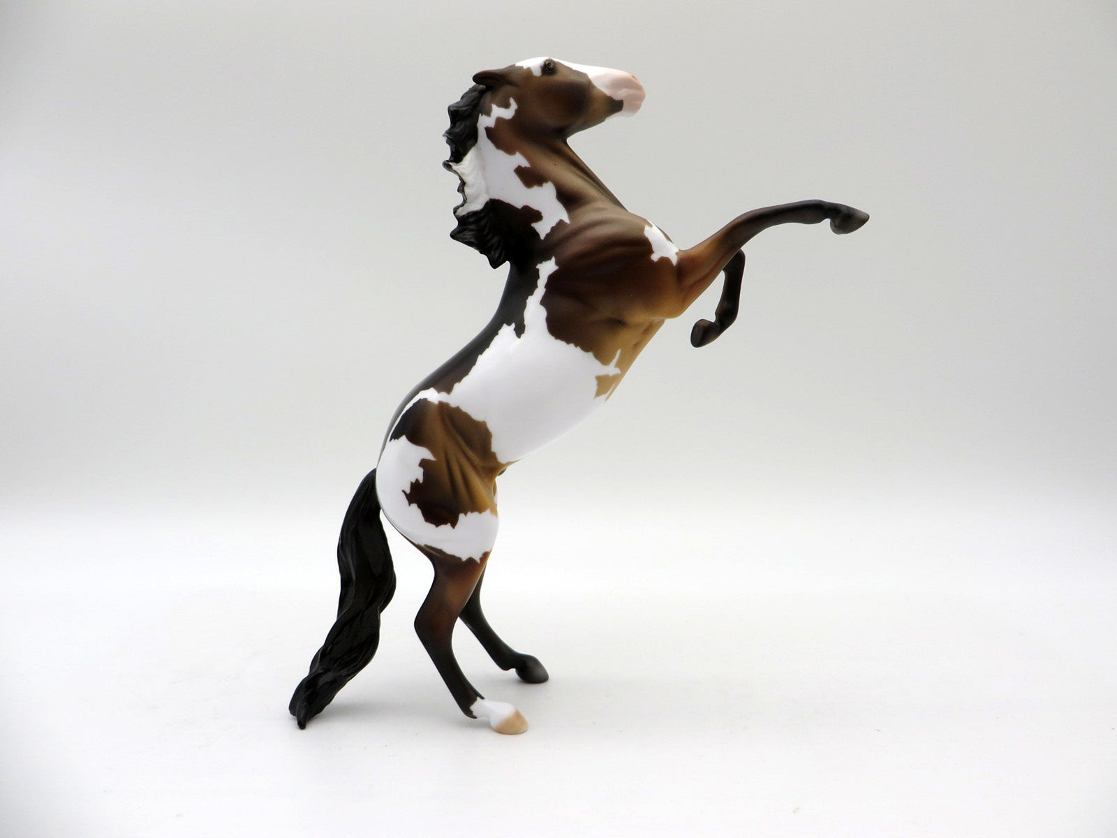 Atomic Copper-LE-6 Bay Paint Rearing Pebbles Painted By Ellen Robbins 5/28/21