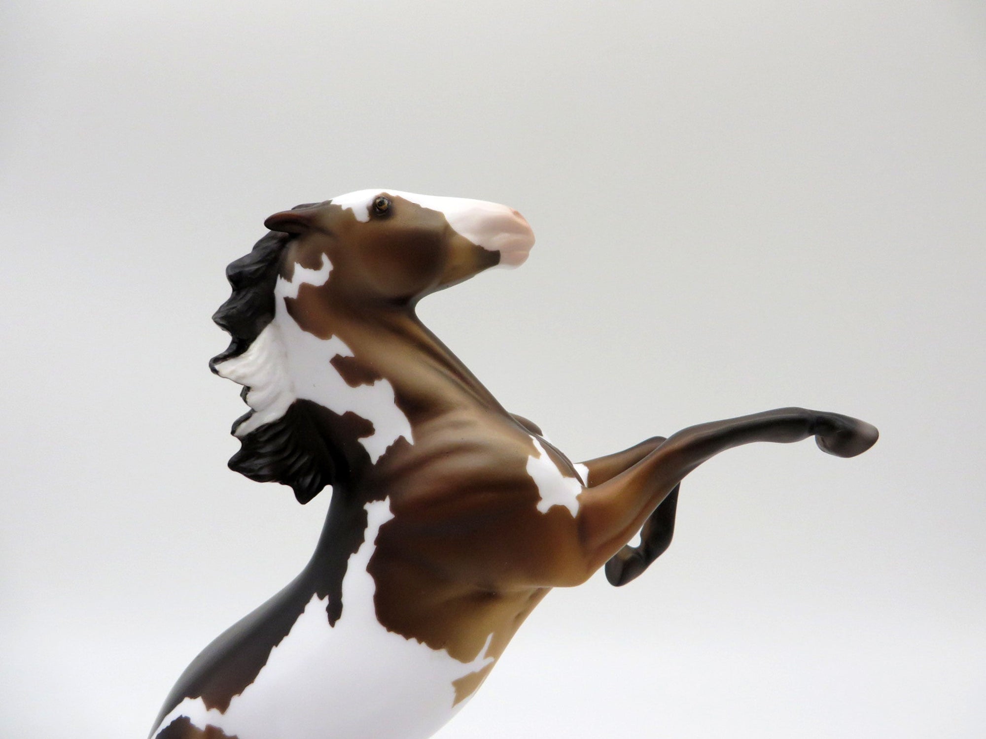 Atomic Copper-LE-6 Bay Paint Rearing Pebbles Painted By Ellen Robbins 5/28/21