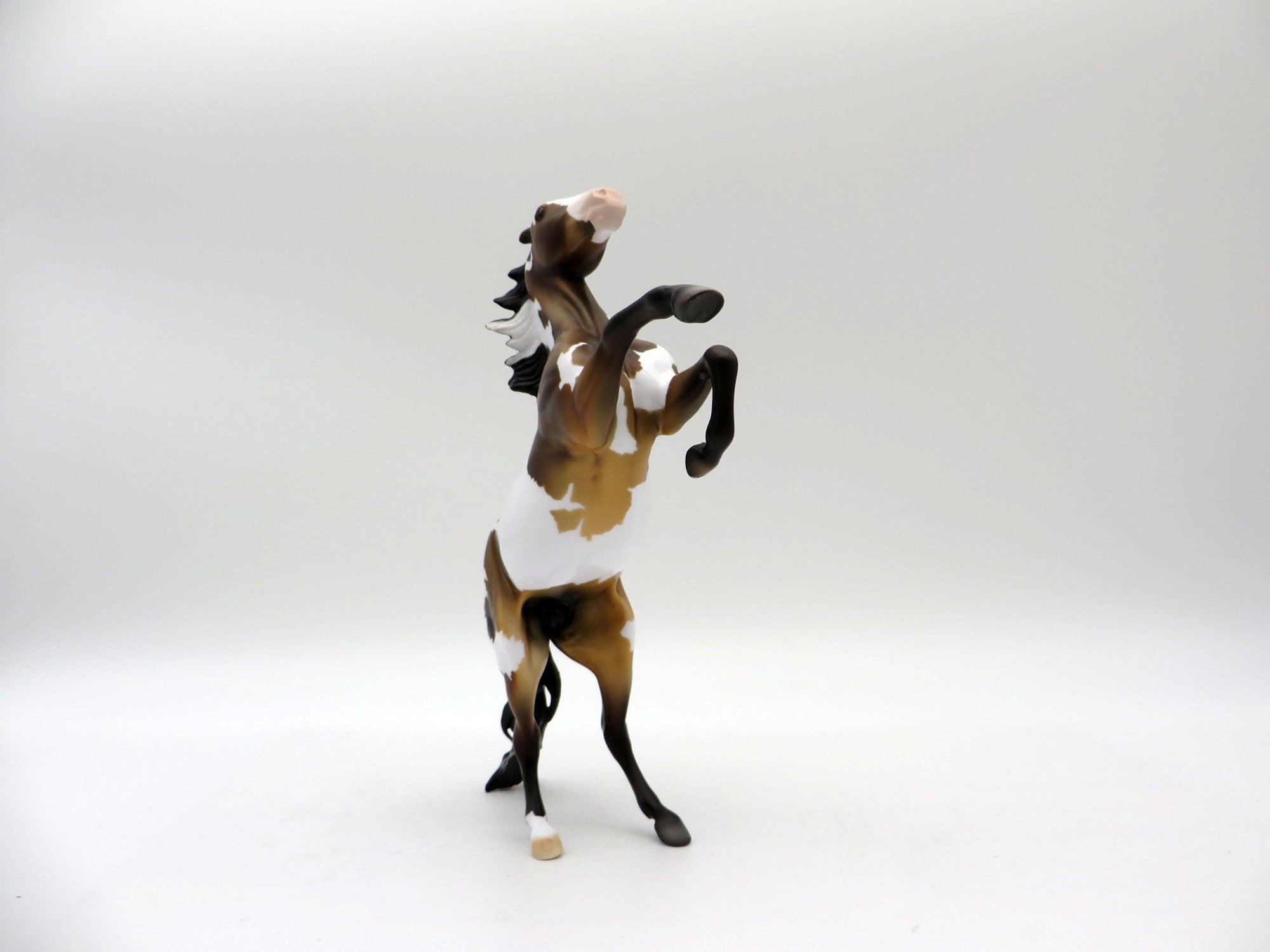 Atomic Copper-LE-6 Bay Paint Rearing Pebbles Painted By Ellen Robbins 5/28/21