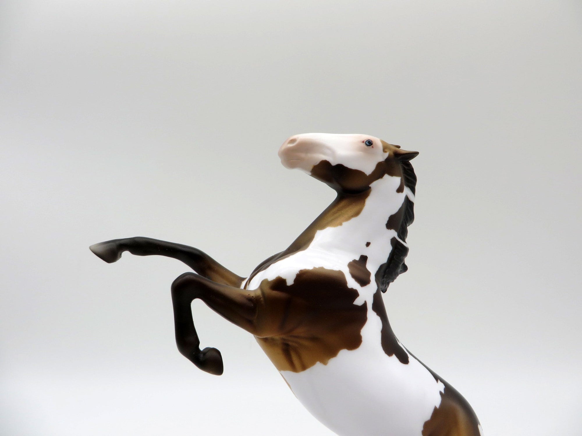 Atomic Copper-LE-6 Bay Paint Rearing Pebbles Painted By Ellen Robbins 5/28/21