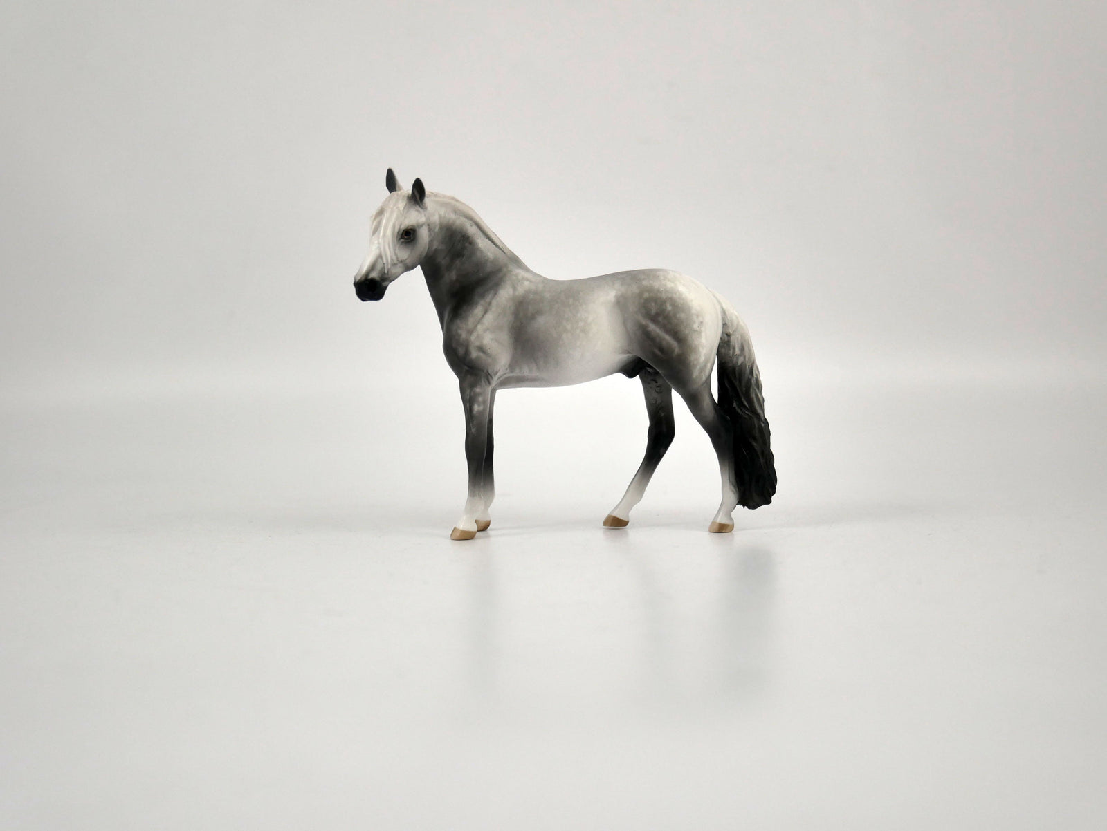 Atticus-OOAK Dapple Grey Andalusian Chip Painted By Sheryl Leisure 12/30/20