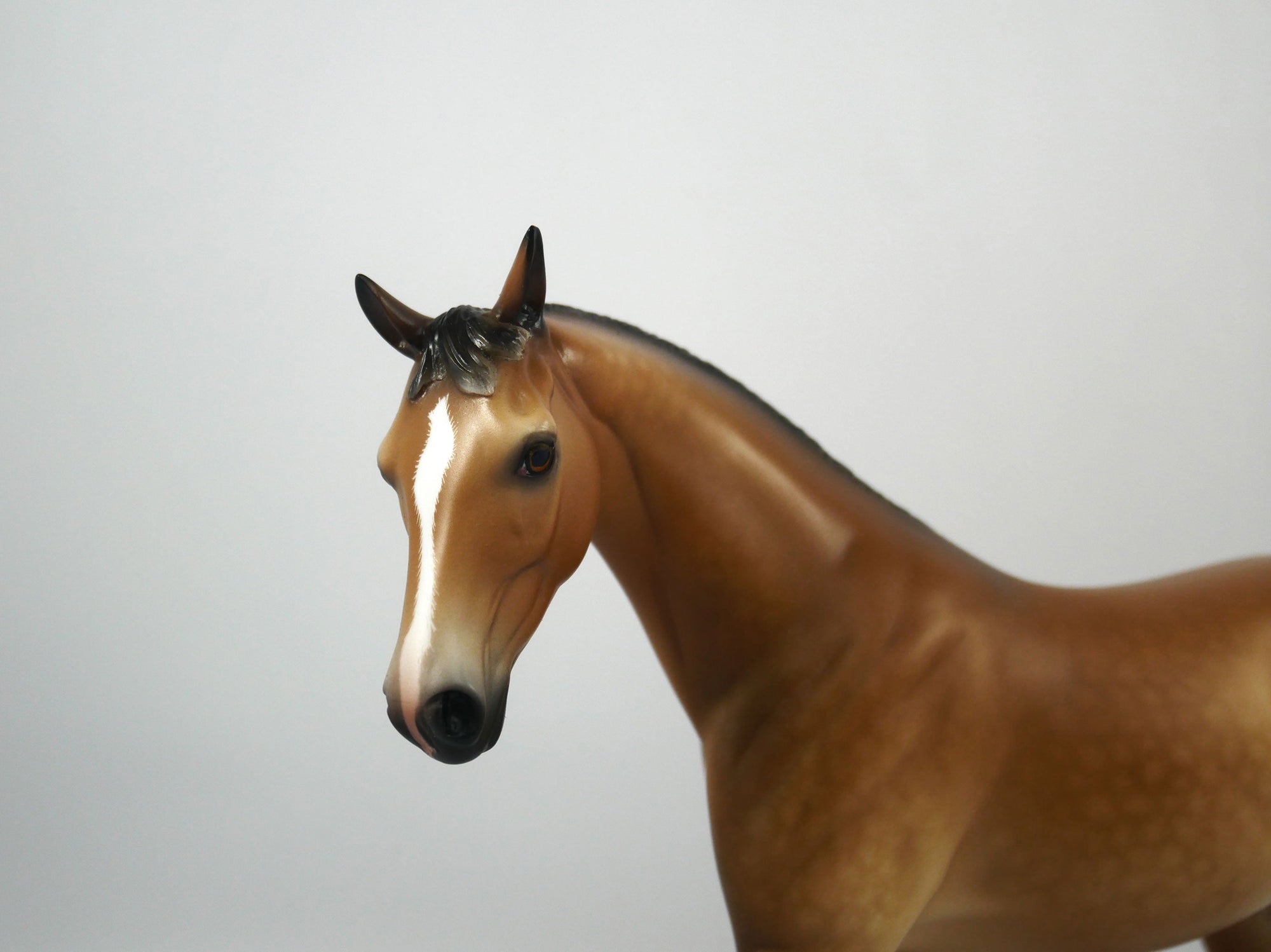 Atticus-OOAK Dapple Buckskin Pony Painted By Sheryl Leisure 1/15/21