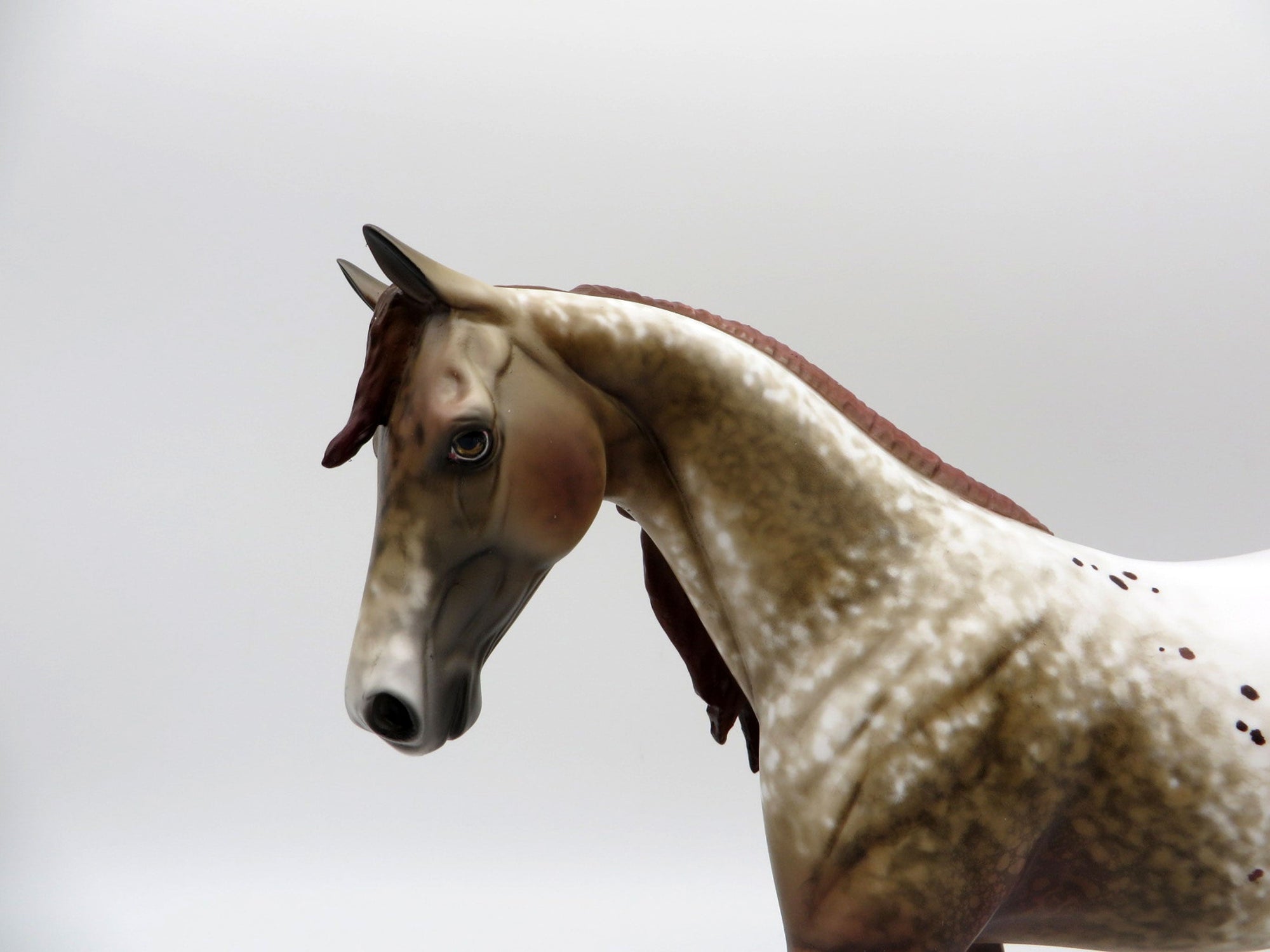 Atwood-Appaloosa Pony Horse Painted By Al EQ 21