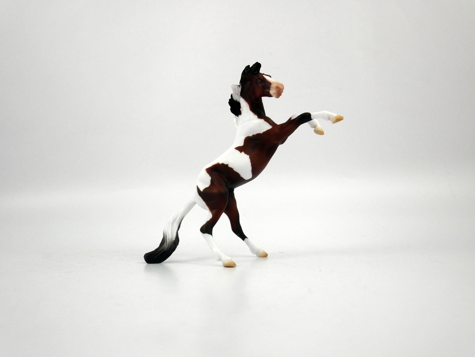 Ayo-OOAK Bay Paint Rearing Chip 1/27/21