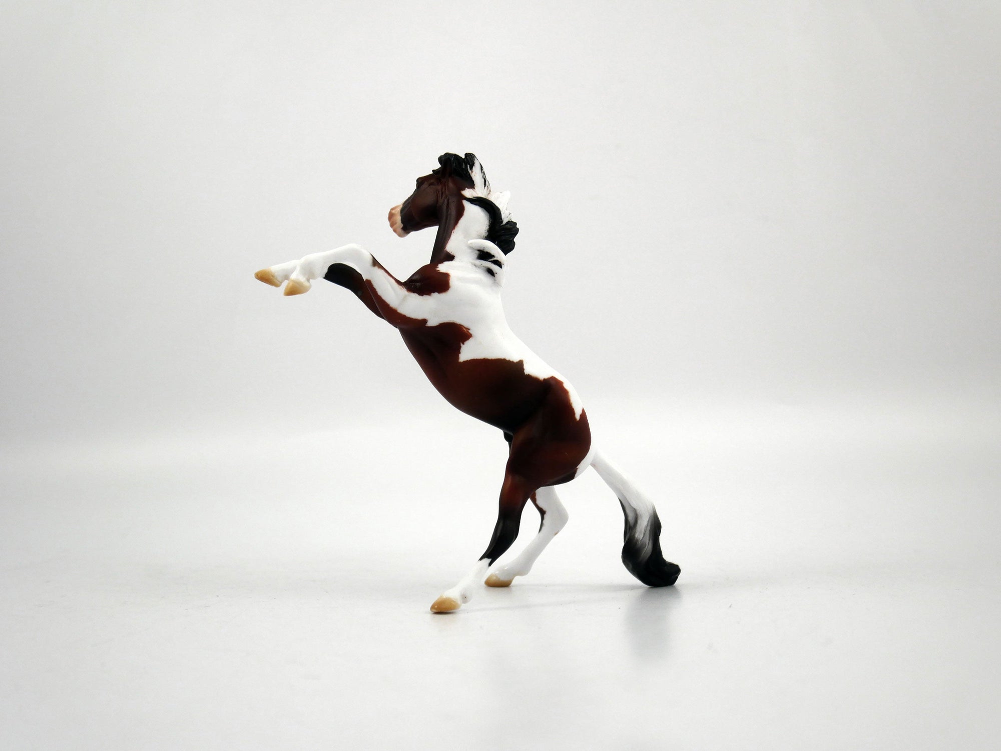 Ayo-OOAK Bay Paint Rearing Chip 1/27/21