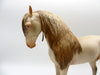 Azalea-OOAK Perlino Andalusian  5/11/21