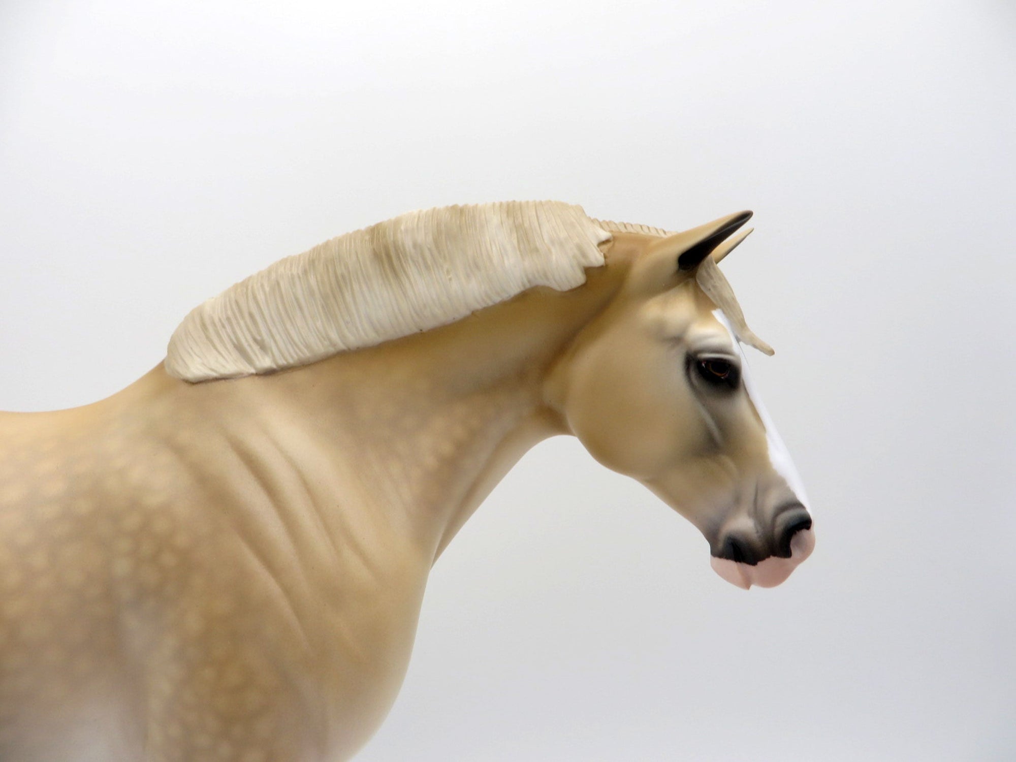 AZALIA-OOAK Blonde Heavy Draft Mare SHCF 2021
