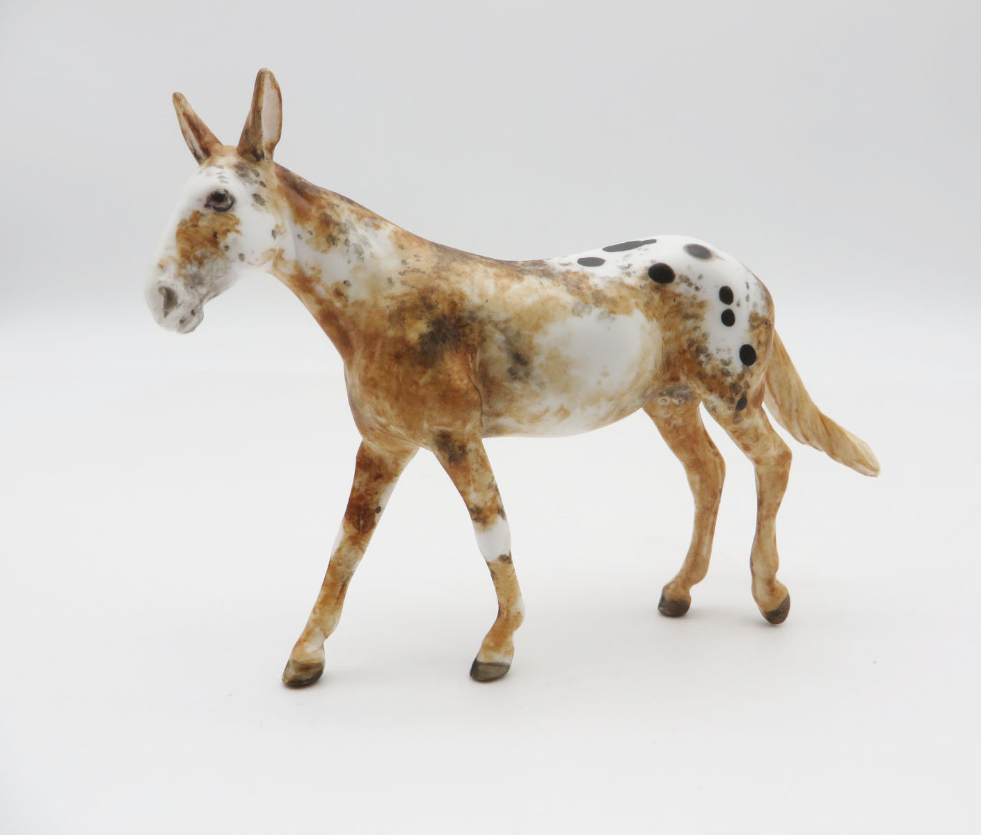 BADLANDS - OOAK  Appy Mule Chip LHS 22