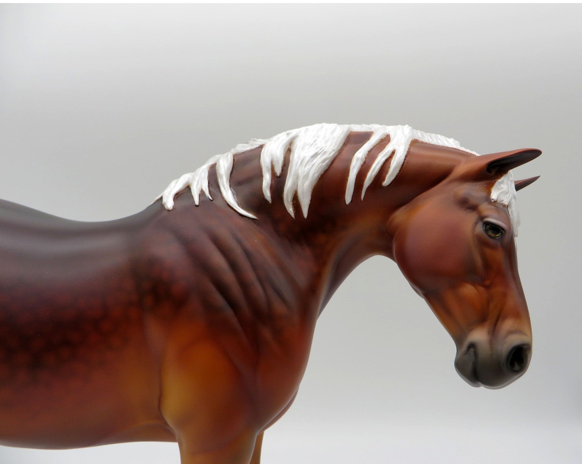 Poppy-OOAK Silver Bay Heavy Draft Mare SHCF 21