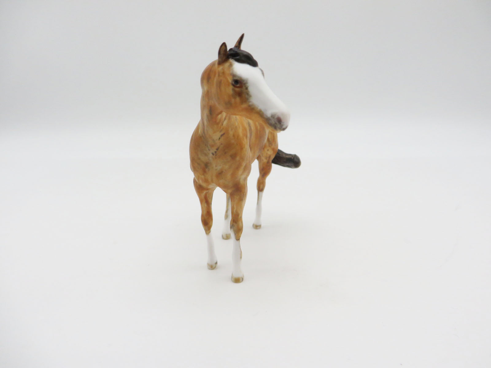 BRYCE - OOAK Buckskin Brindle Stock Chip LHS 22