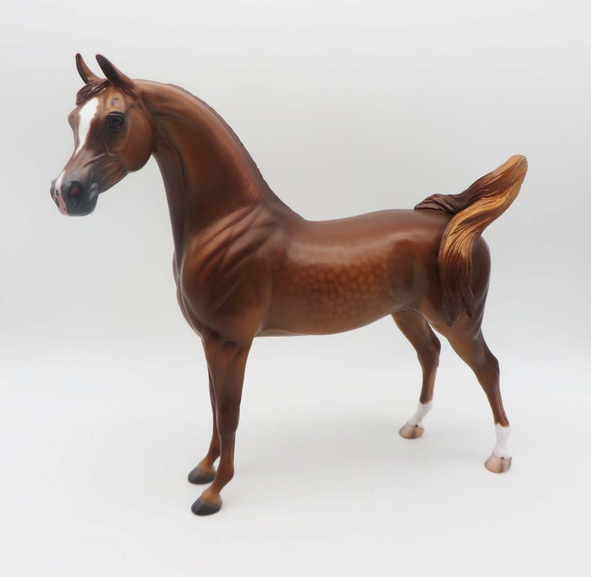 Barrett - OOAK - Dappled Chestnut Arabian By Caroline Boydston BEST OFFER 3/13/23