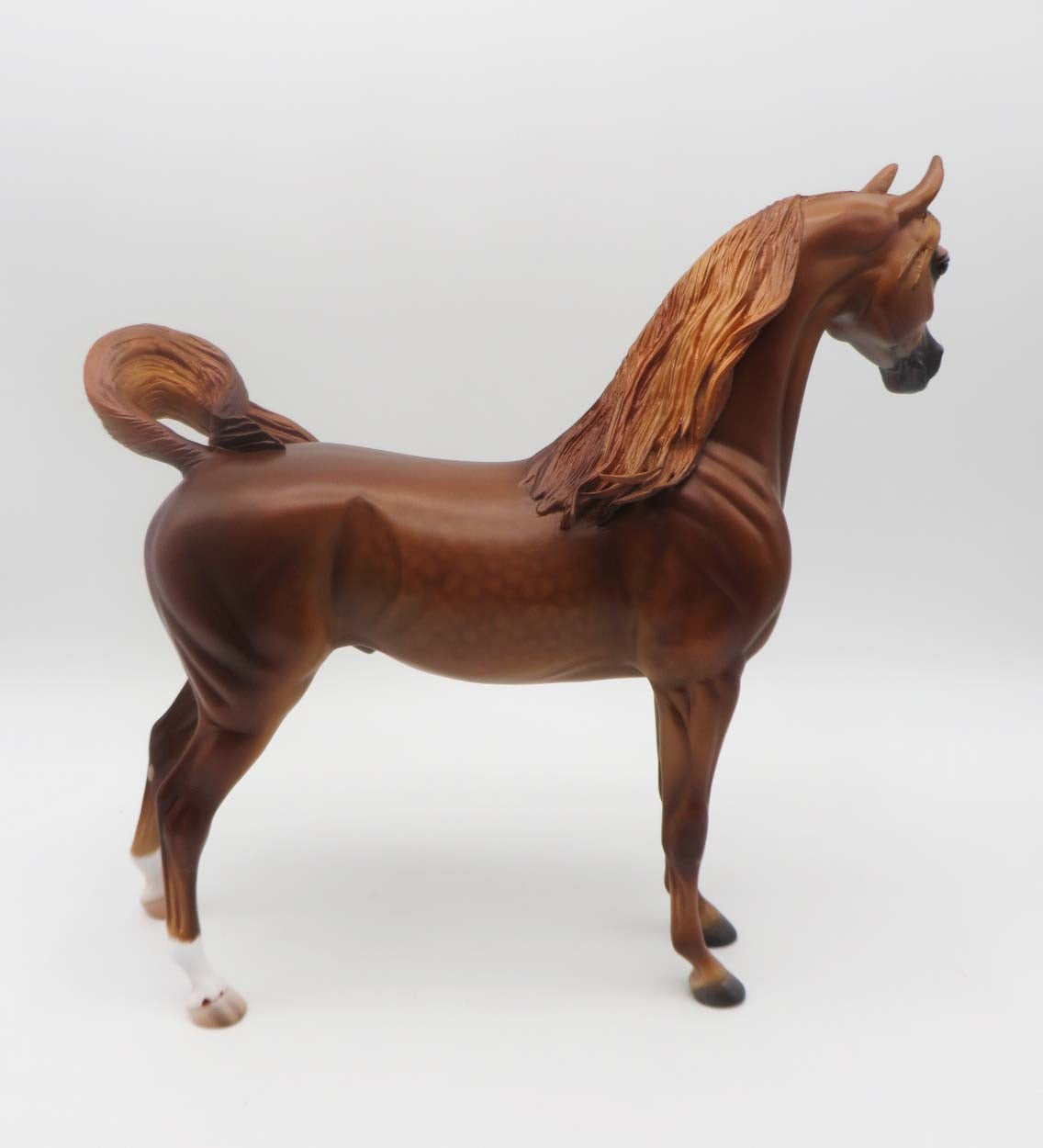 Barrett - OOAK - Dappled Chestnut Arabian By Caroline Boydston BEST OFFER 3/13/23