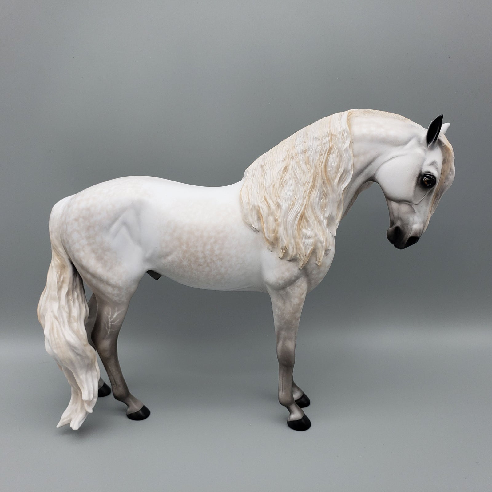 Barry OOAK Dappled Grey Andalusian By Sheryl Leisure Best Offers 6/12/23