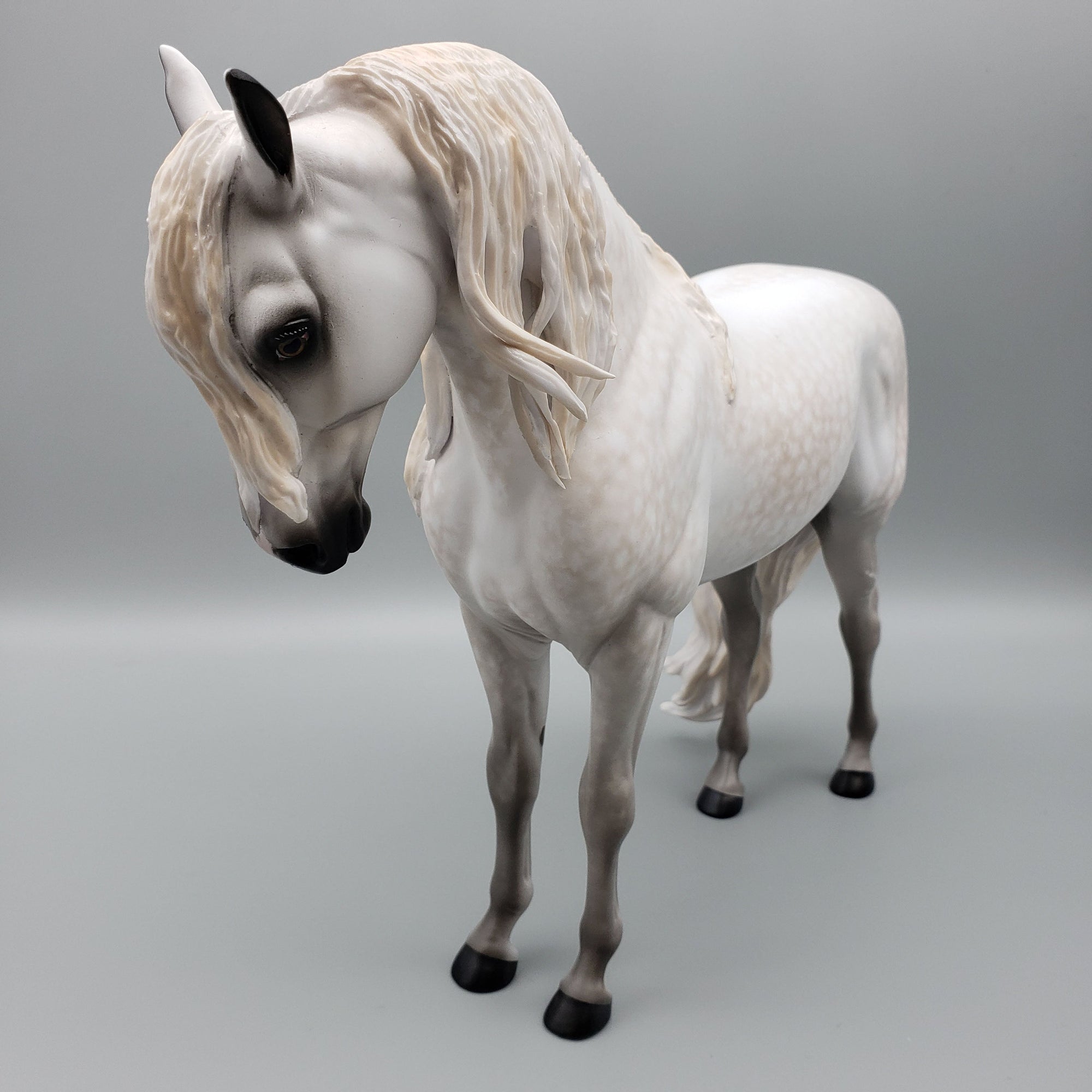 Barry OOAK Dappled Grey Andalusian By Sheryl Leisure Best Offers 6/12/23