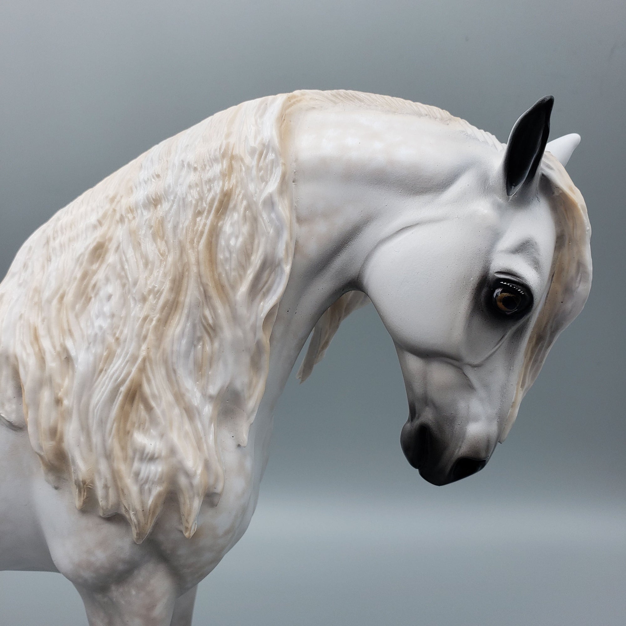 Barry OOAK Dappled Grey Andalusian By Sheryl Leisure Best Offers 6/12/23