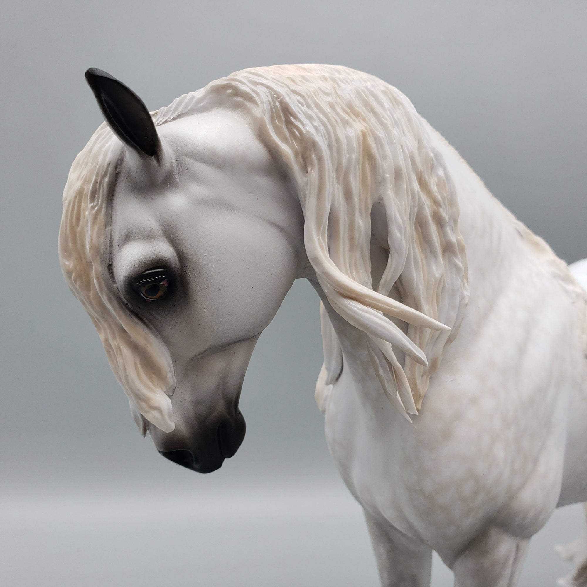 Barry OOAK Dappled Grey Andalusian By Sheryl Leisure Best Offers 6/12/23