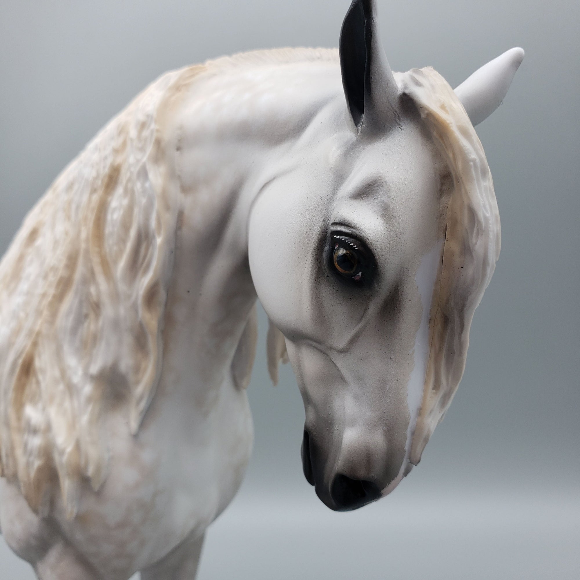 Barry OOAK Dappled Grey Andalusian By Sheryl Leisure Best Offers 6/12/23